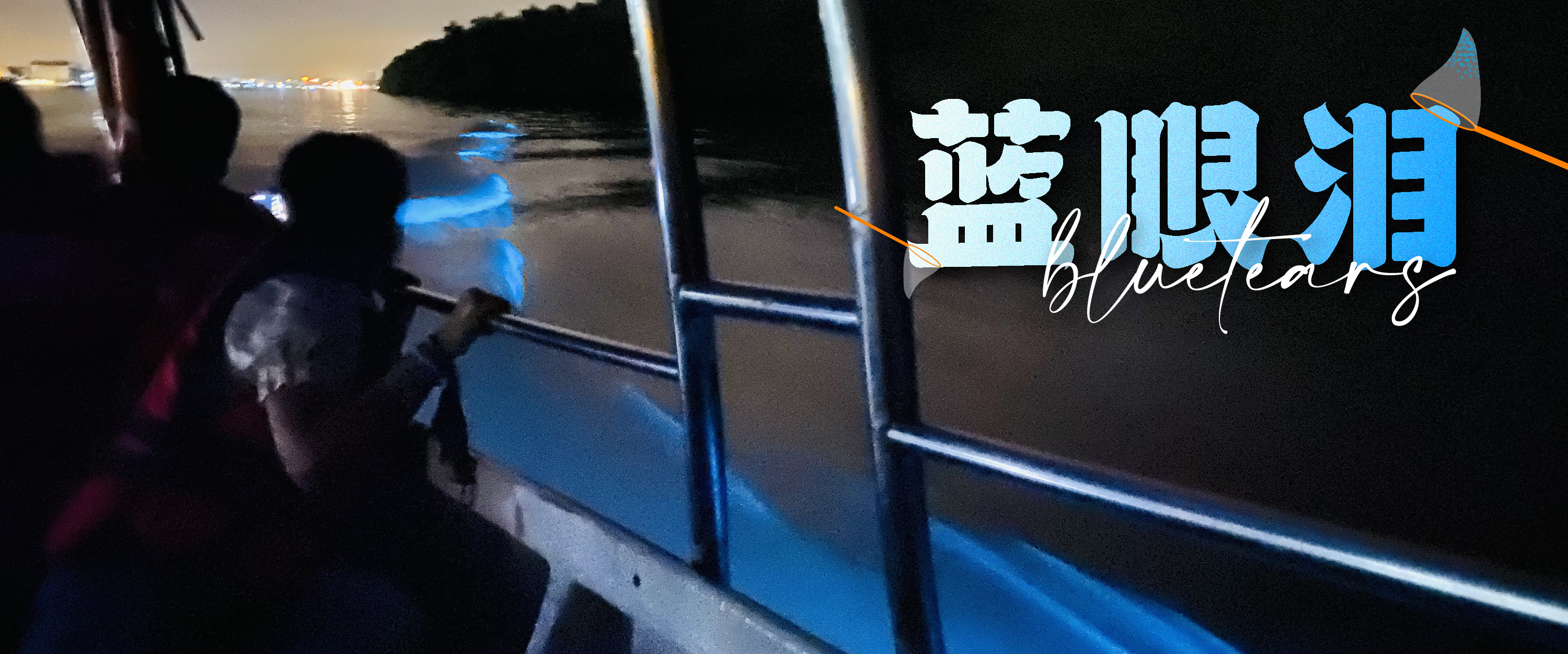 Kuala Selangor Eagle Feeding, Fireflies and Blue Tears Tour