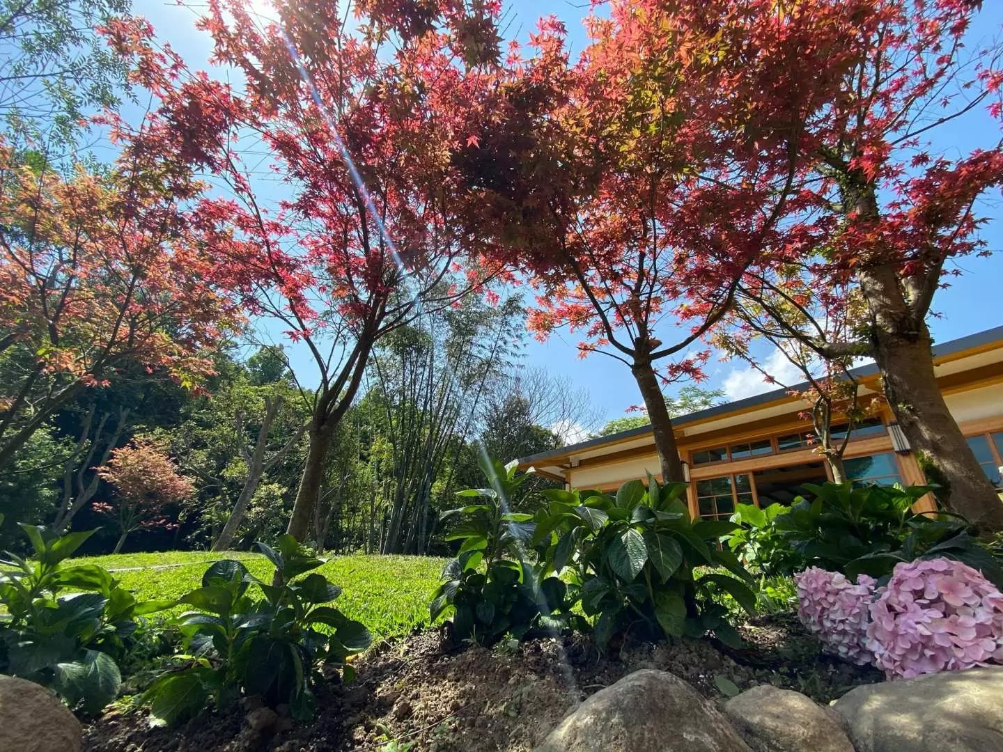Yangmingshan Futianyuan Leisure Farm