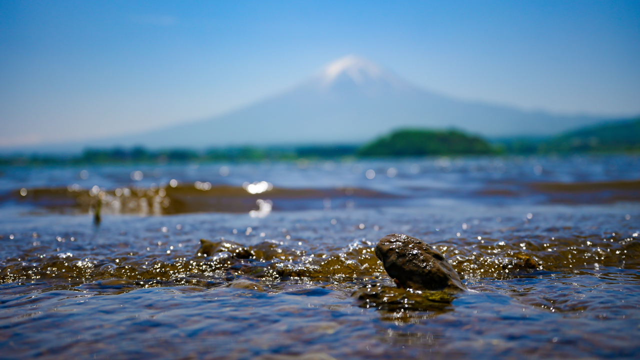 東京包車2日遊（富士山／箱根／鎌倉／伊豆）