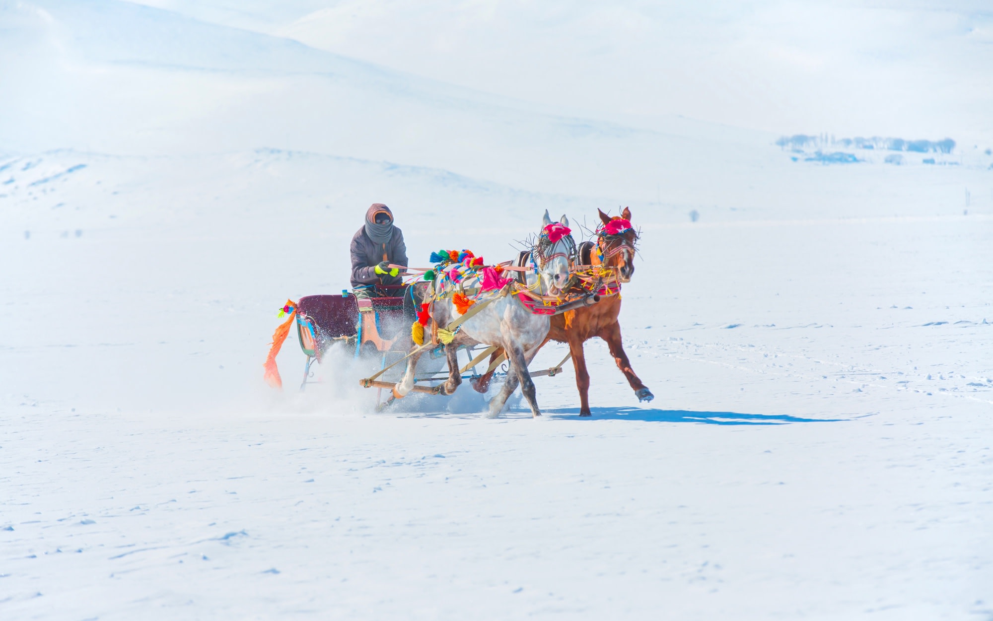 7-day 6-night winter double city tour of Beijing + Harbin