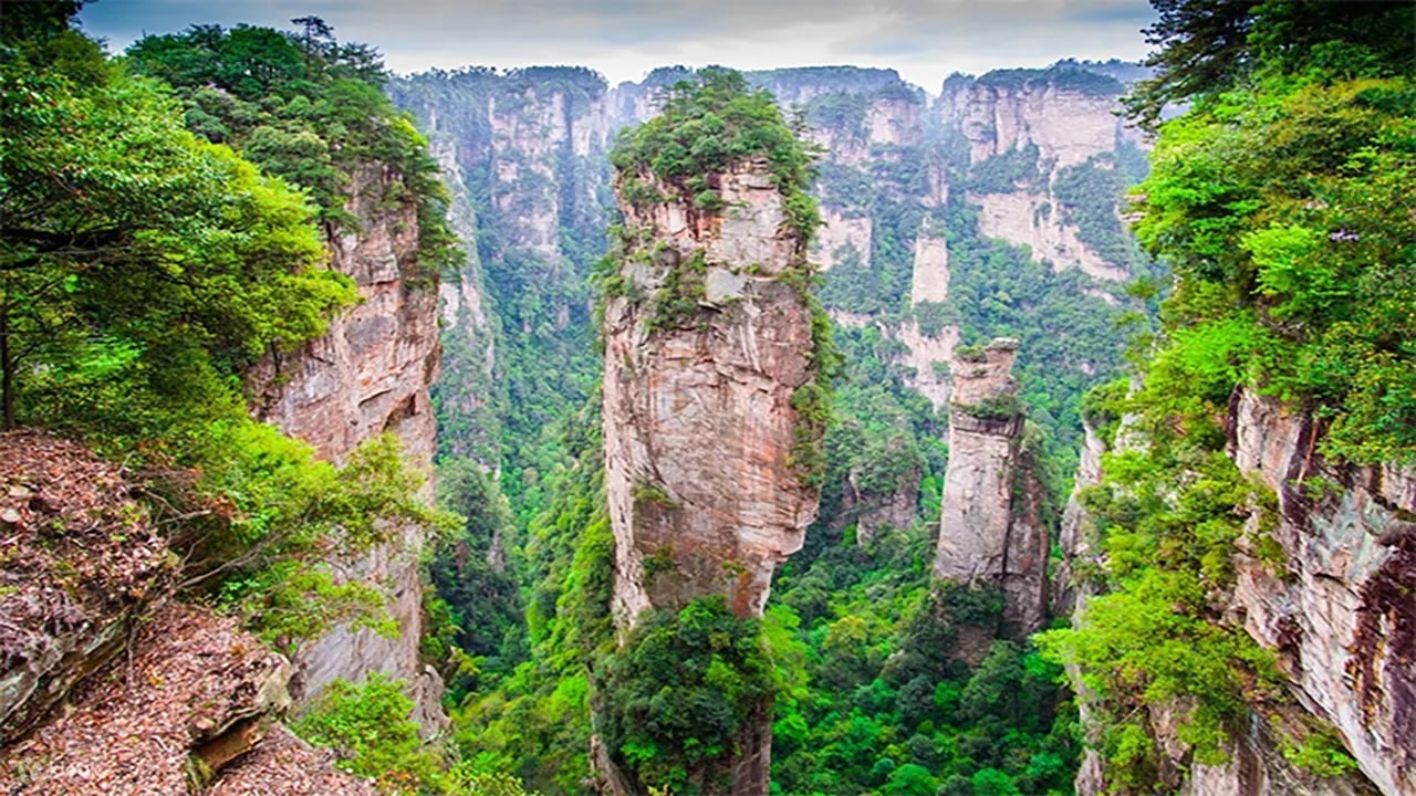 Zhangjiajie National Forest Park Ticket + Three Cable Cars & One Elevator