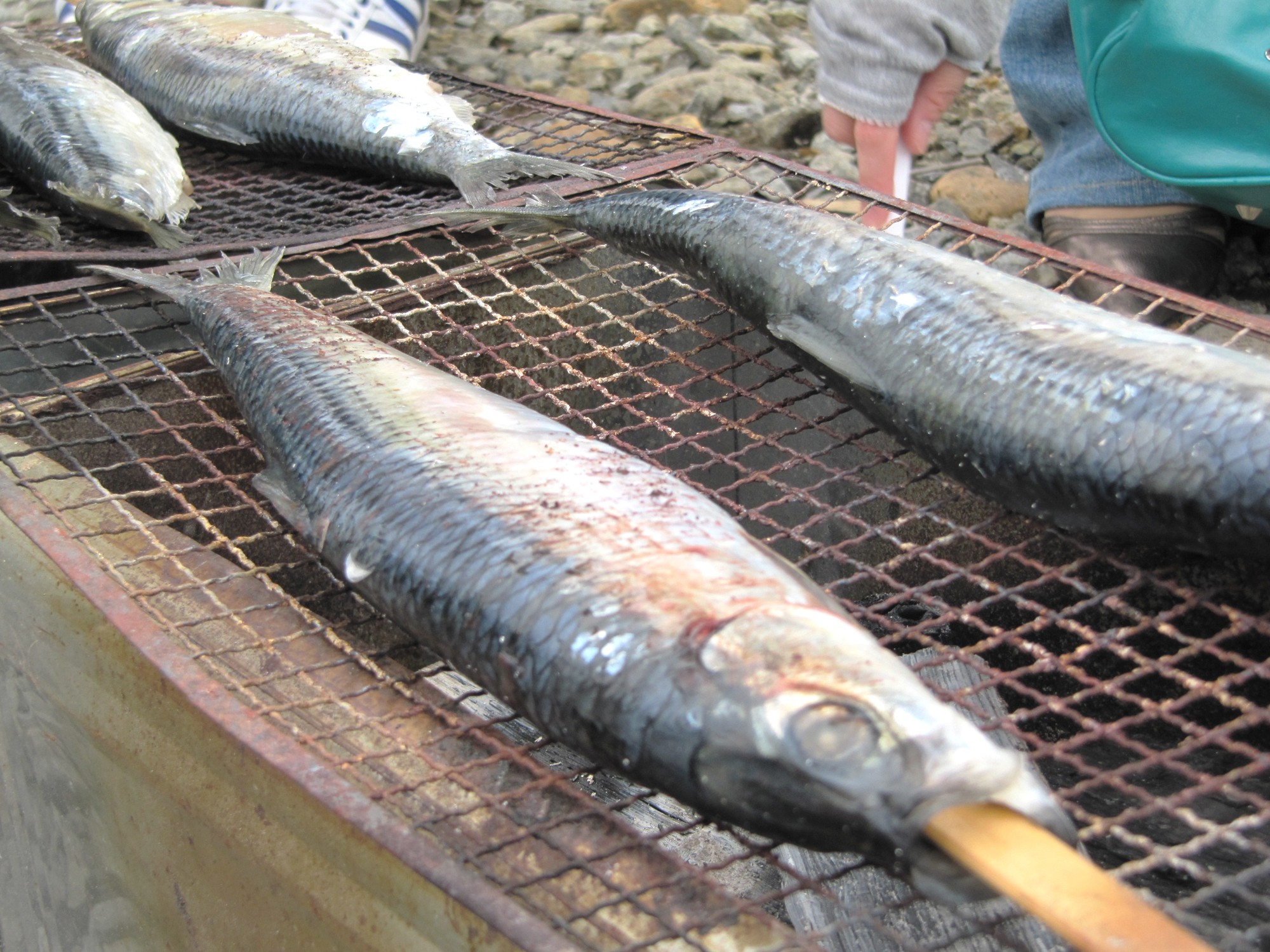 ✧⁺不喜歡生海鮮嗎？沒問題——**小樽**提供了豐富的燒烤和熟食海鮮選擇。這裡有各式各樣的在地風味，保證能找到您喜歡的美味。
※請注意，本行程不包含餐點，需由您自理。
