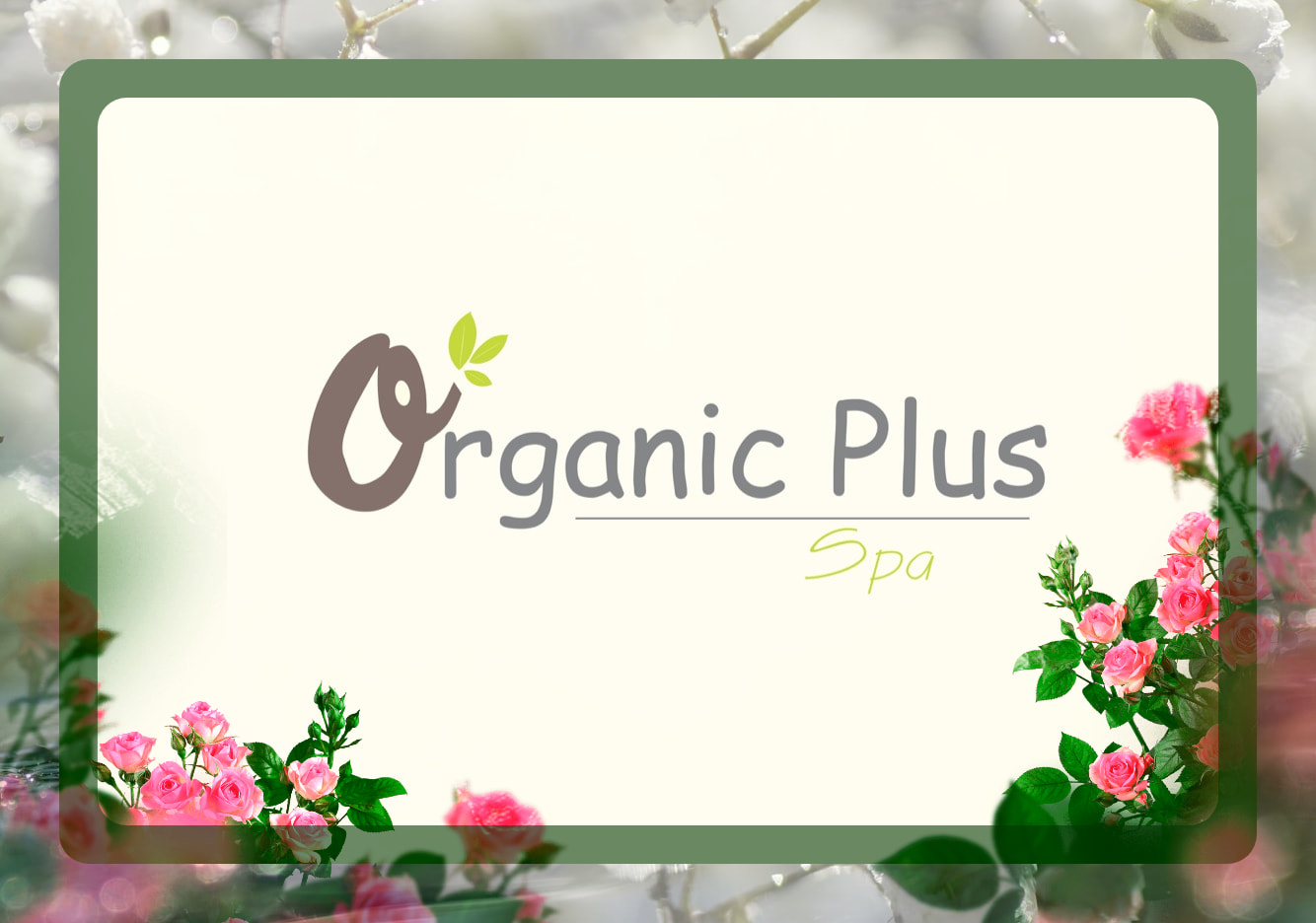 峴港 Organic Plus Spa 按摩體驗