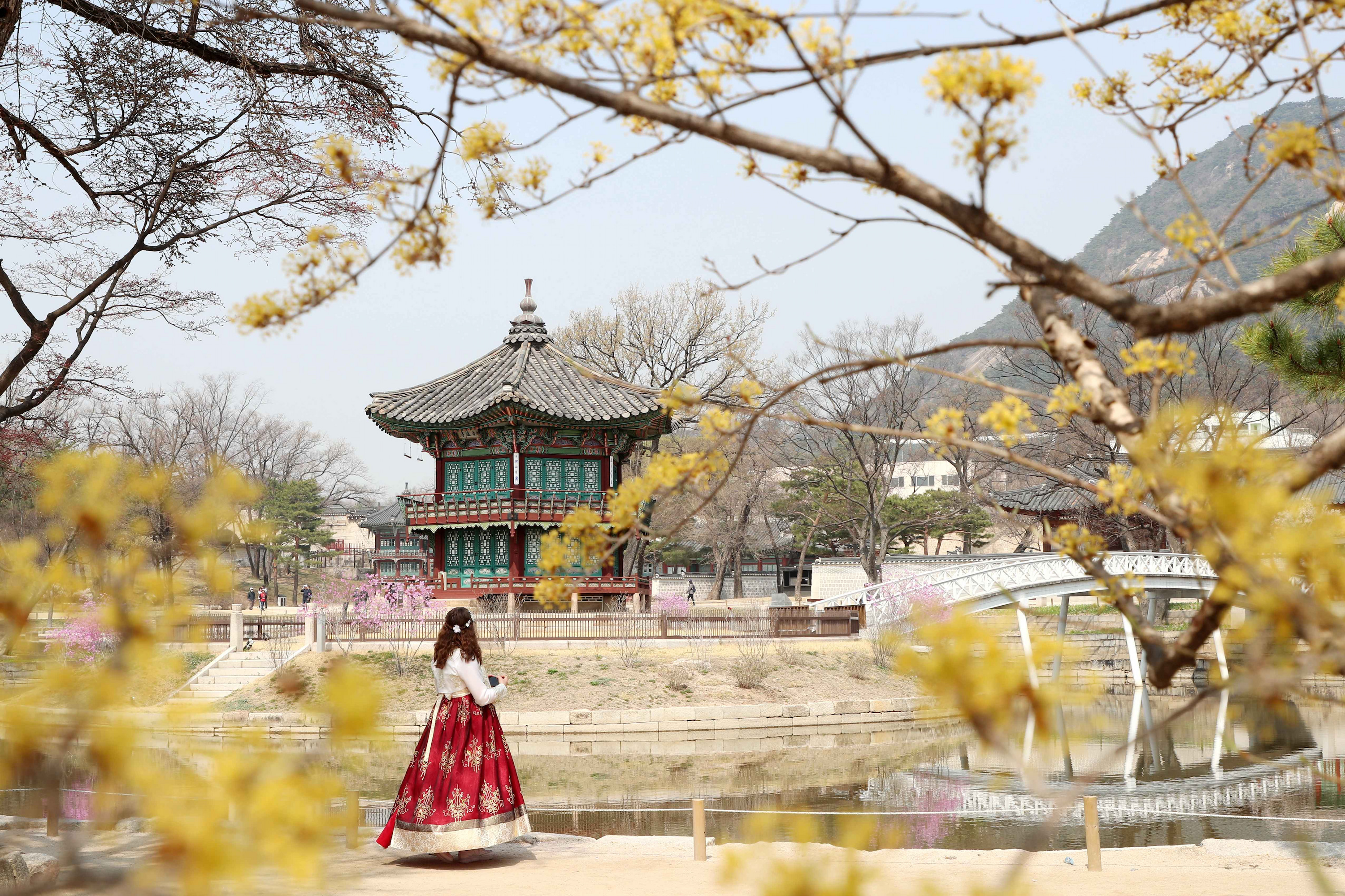 Private Photo Shoot in Seoul - Capture Local Korea Moments