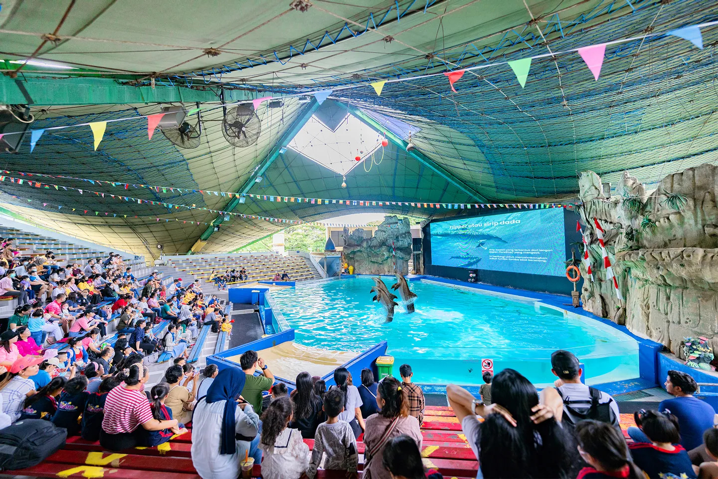 觀眾們興高采烈地觀看精彩的海洋動物現場表演