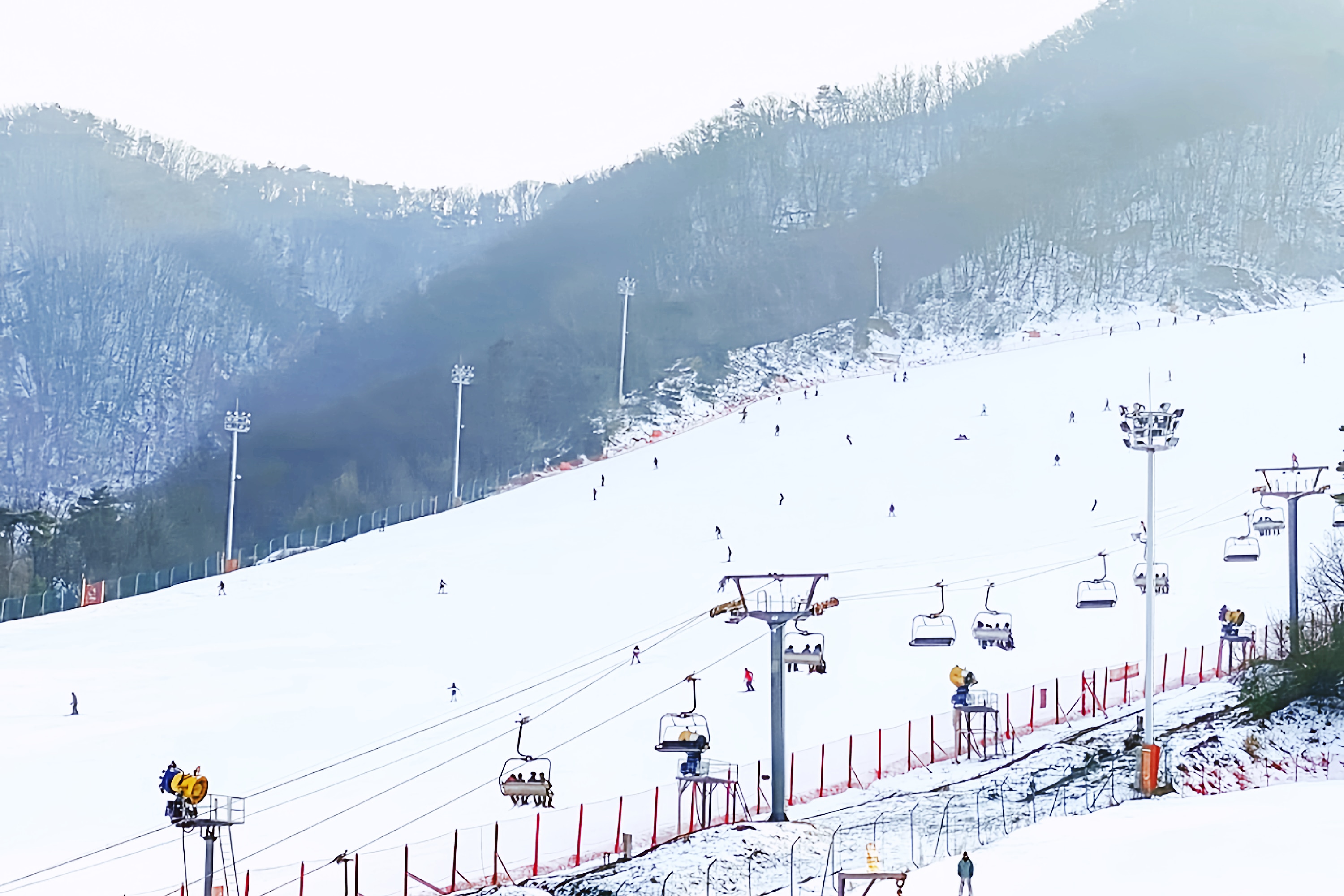 芝山森林度假村 (Jisan Forest Resort) 滑雪橇一日遊（首爾 (Seoul) 出發）