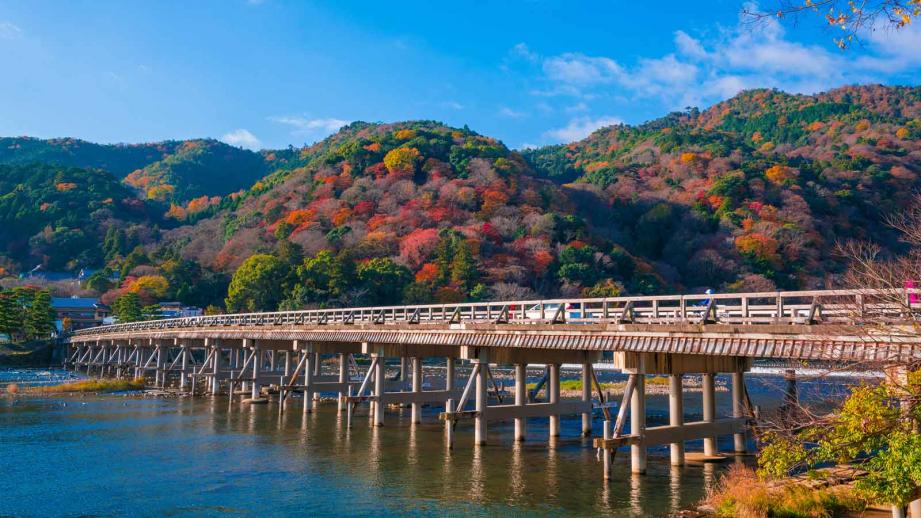 【大阪出發｜京都奈良經典＆山區秘境小團】伏見稻荷・奈良公園 or 嵐山・三千院・貴船神社 雙方案可選