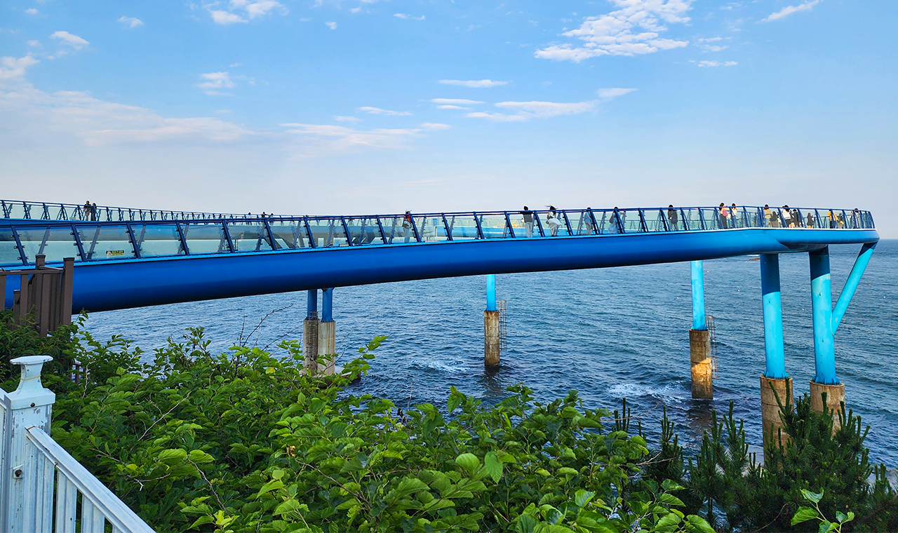 Daritdol 觀景臺（青沙浦天空步道）：玻璃地板步道延伸至海面之上，腳下海浪拍打，帶來驚險刺激的體驗。