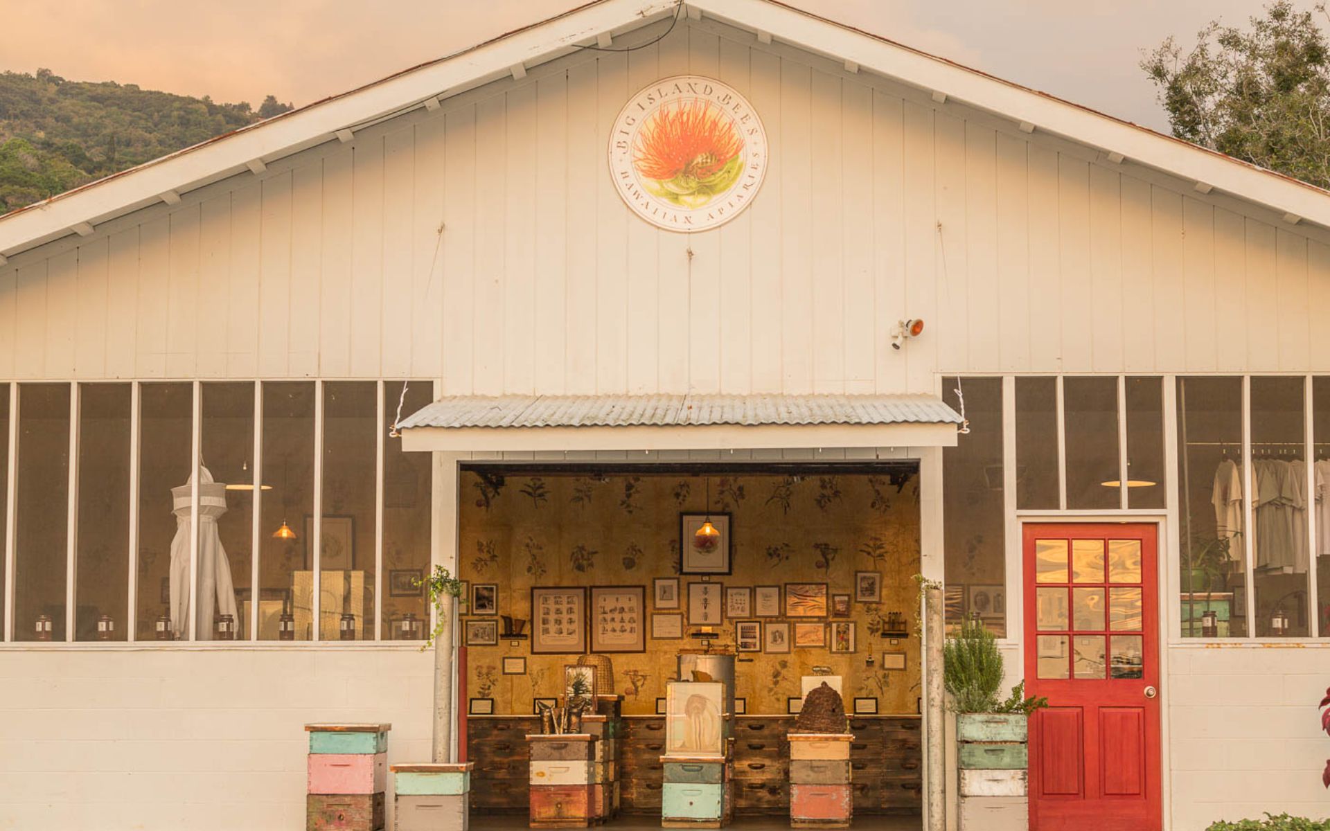 參觀 Big Island Bees，這是一家蜂蜜生產商，提供當地島嶼產品和紀念品。