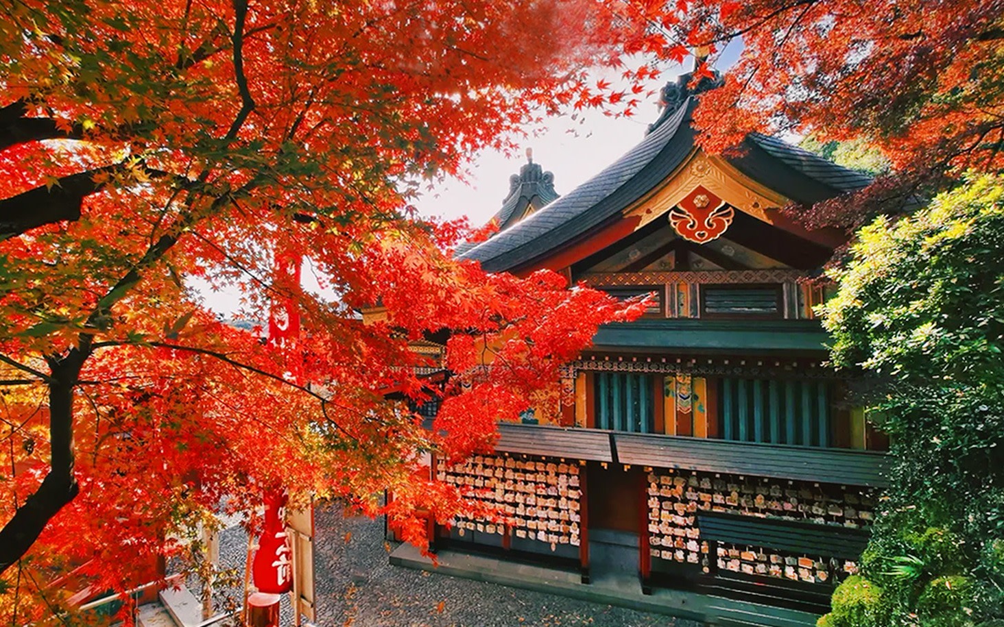 [Kyushu Day Trip] Saga Yūtoku Inari Shrine + Ōuo Shrine + Arita Porcelain Park + Takeo Onsen Experience (From Fukuoka Hakata)