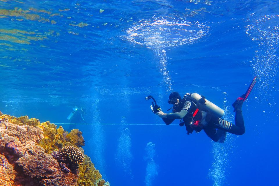 赫爾格達：橘子島潛水與浮潛之旅（含午餐）