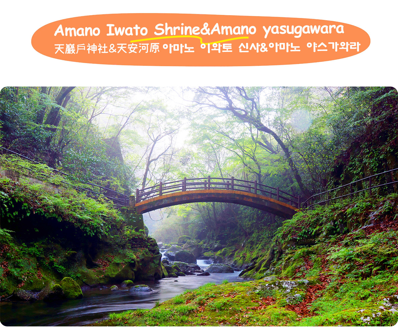 天安河源擁有清澈碧綠的溪流和翠綠山林,是天然的避暑秘境與攝影勝地。 天安河源擁有清澈碧綠的溪流和翠綠山林,是天然的避暑秘境與攝影勝地。