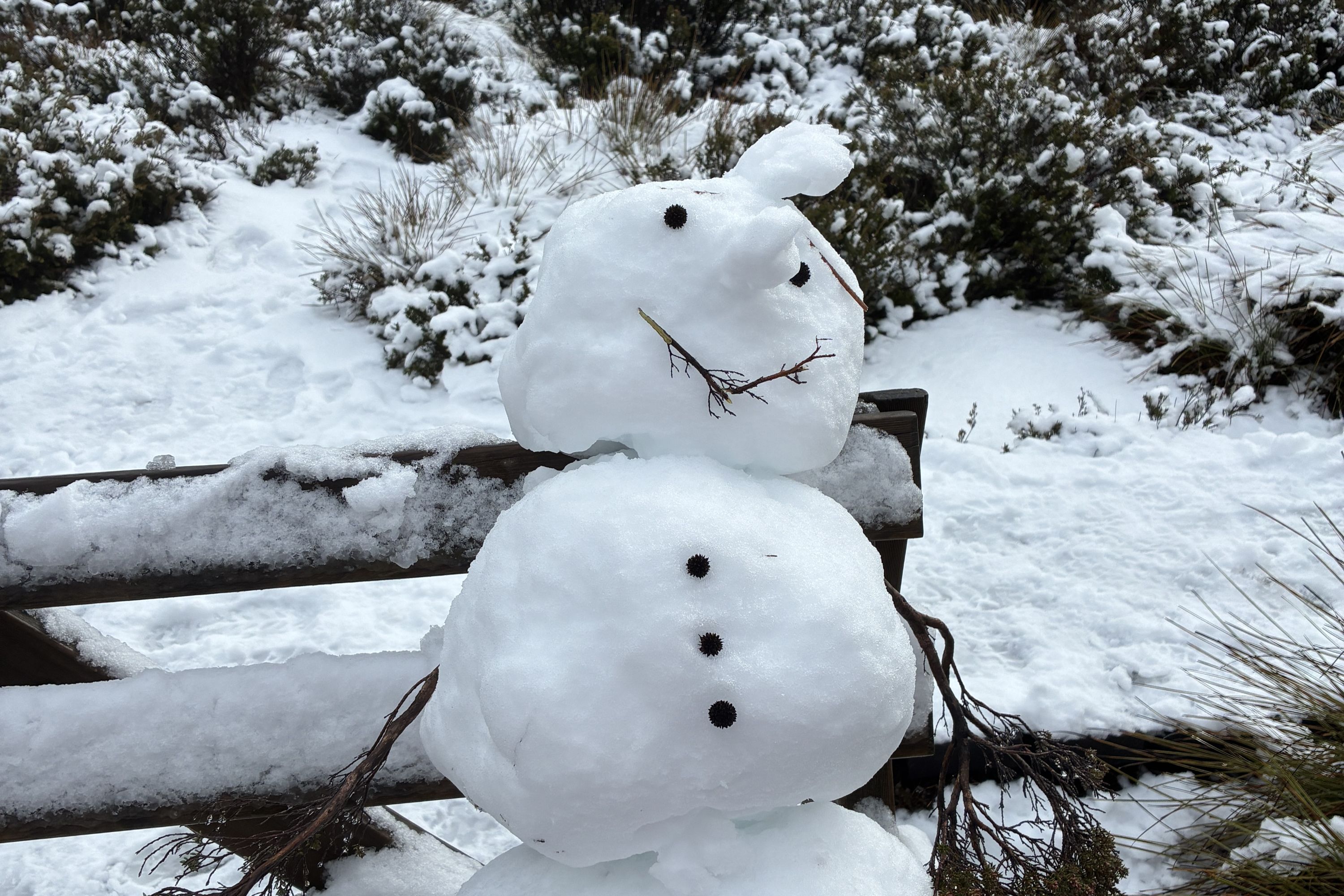 雪季！