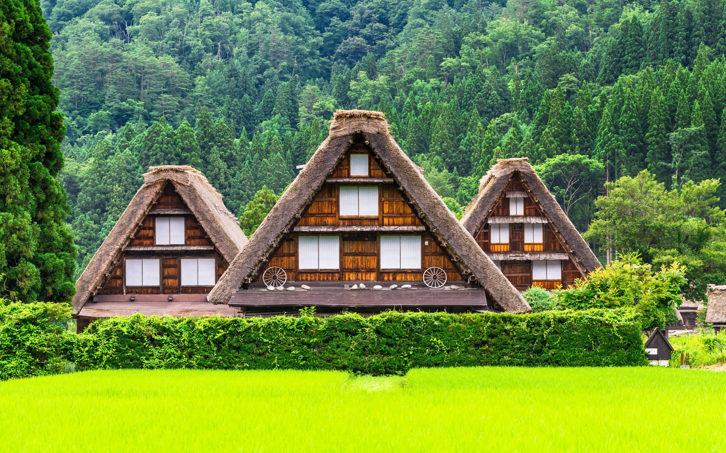 Shirakawago & Takayama Old Town Multi-Day Bus Tour