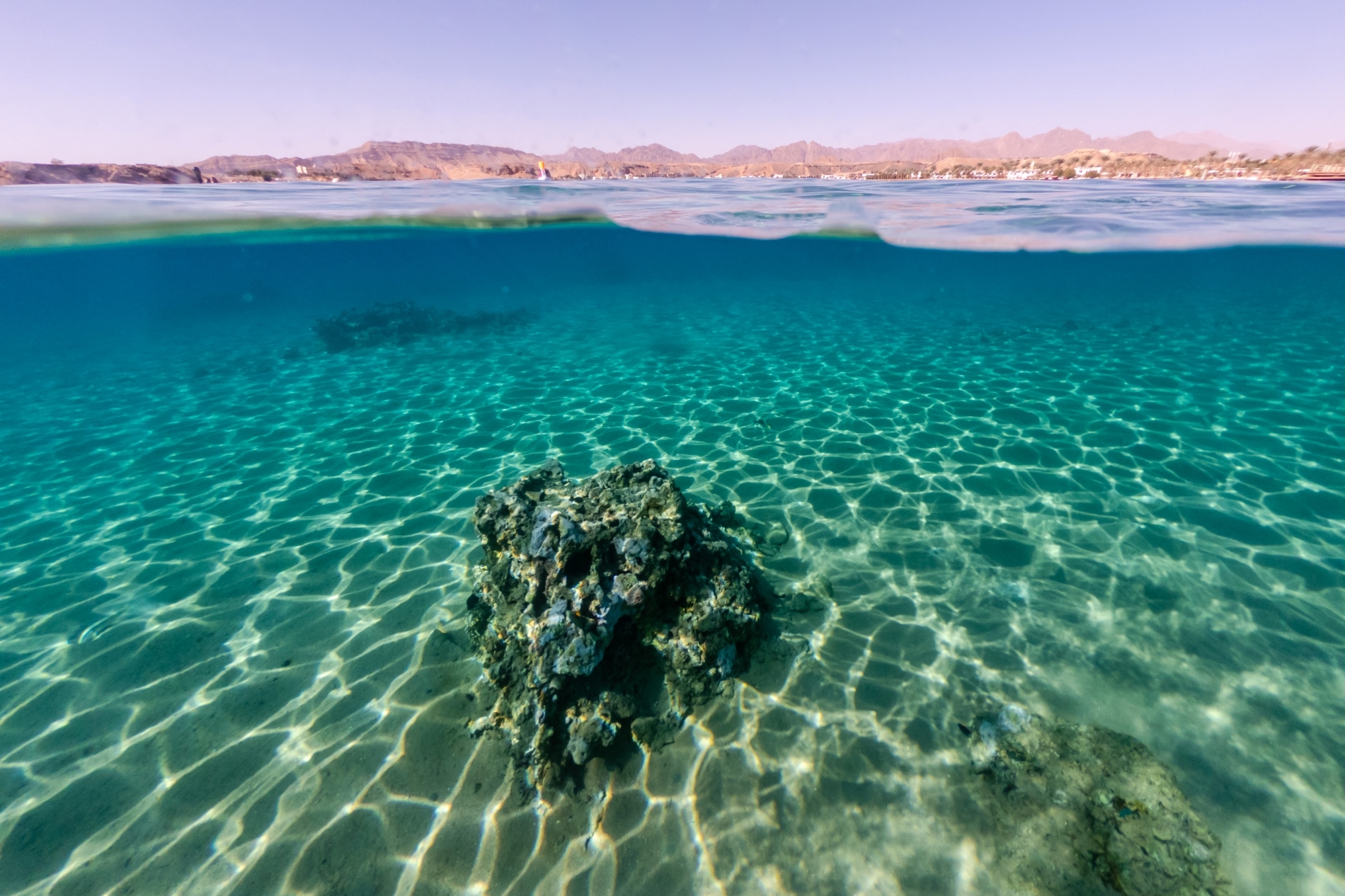  ¿動脈の影響を受けていますか?