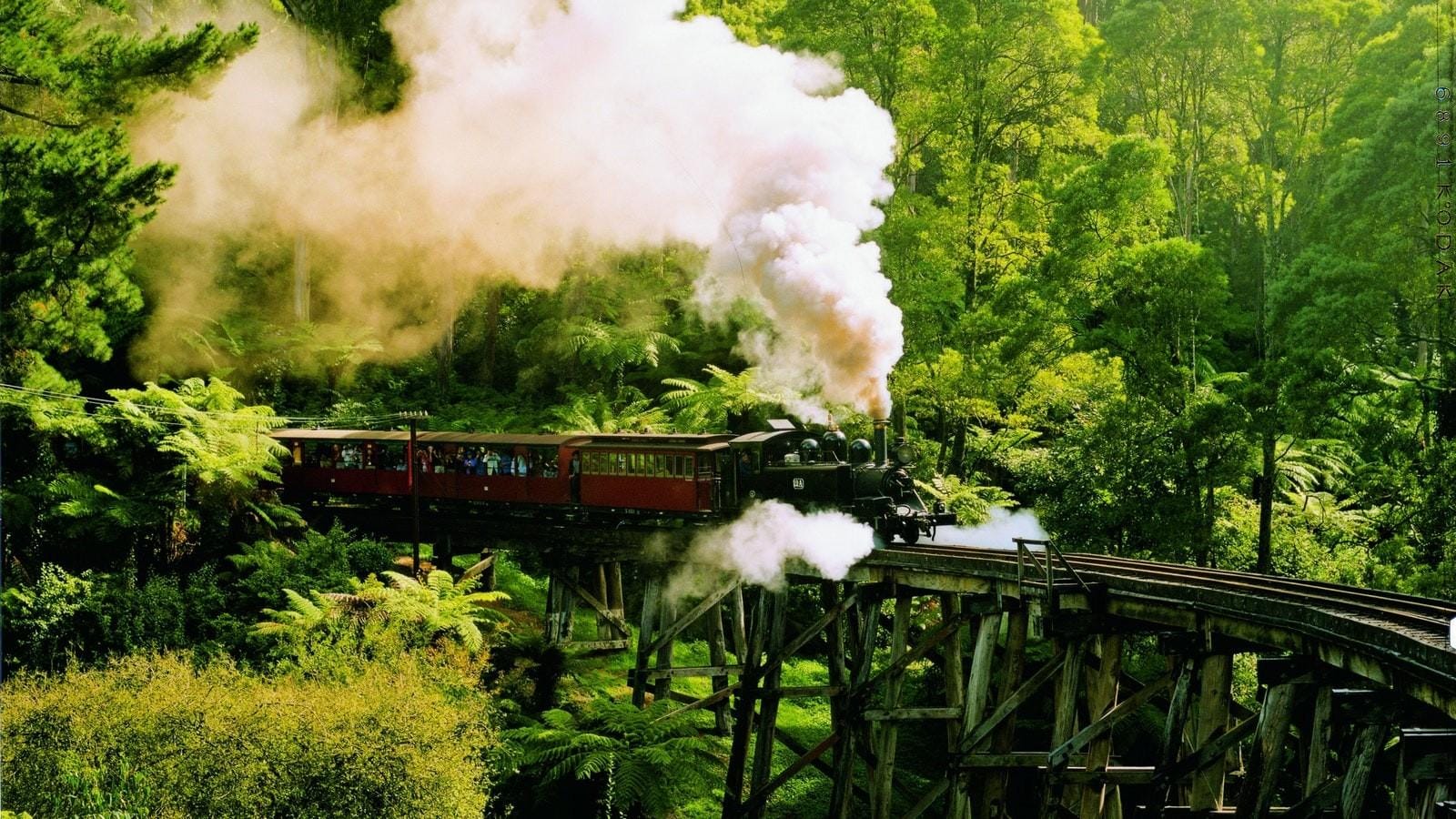 從墨爾本出發的普芬比利蒸汽火車 (Puffing Billy Steam Train) 之旅