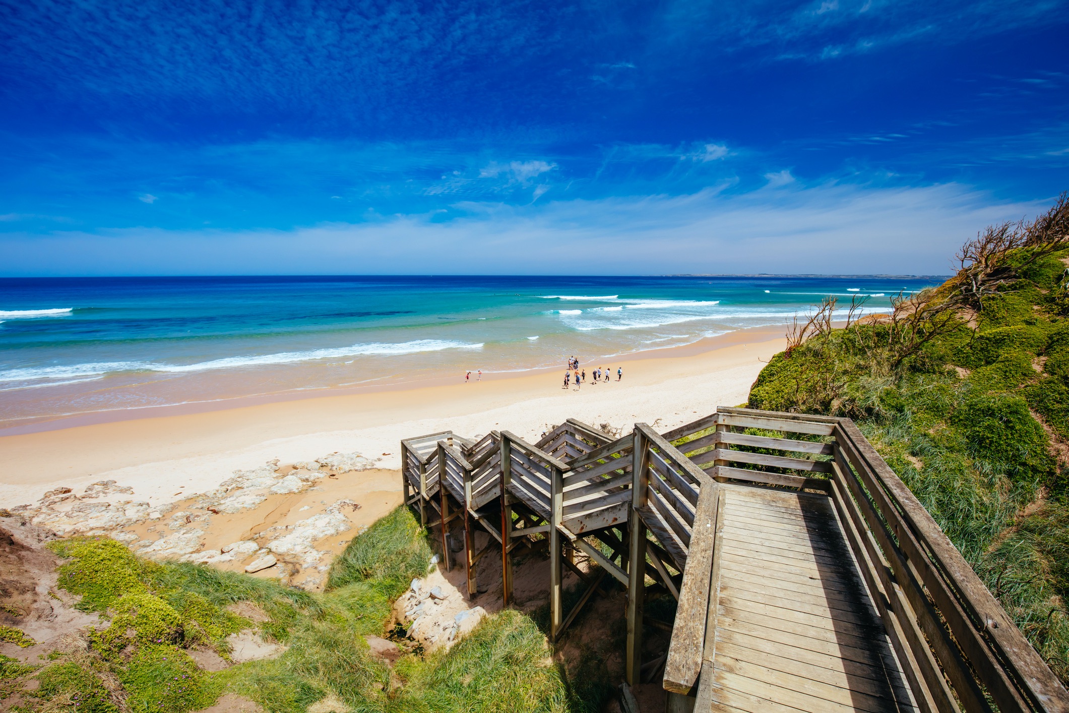 Discover breathtaking scenery, historic railways, and adorable penguin parades