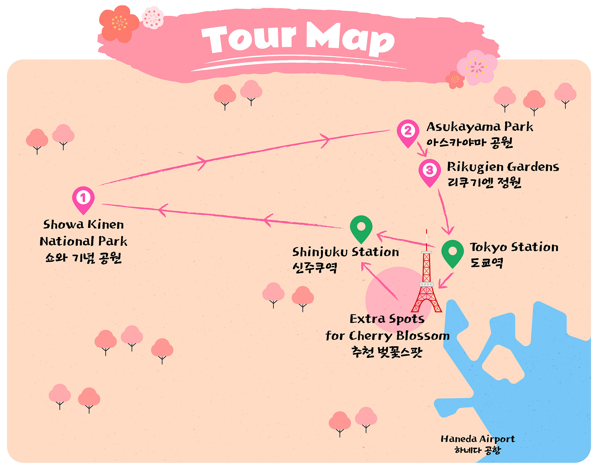 東京櫻花特輯：昭和紀念公園/六義園/飛鳥山