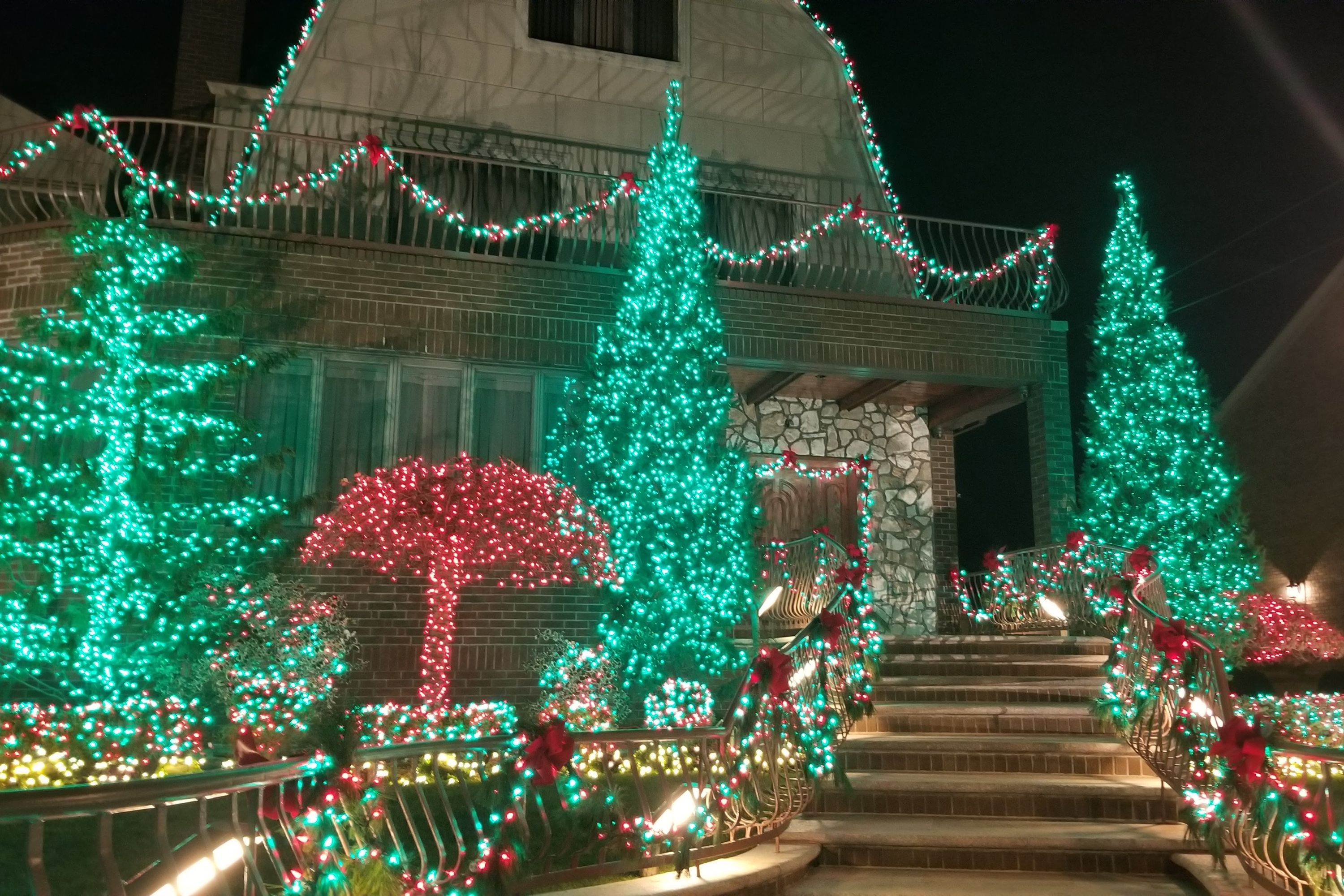 Brooklyn Dyker Heights Christmas Wonderland Tour from Manhattan