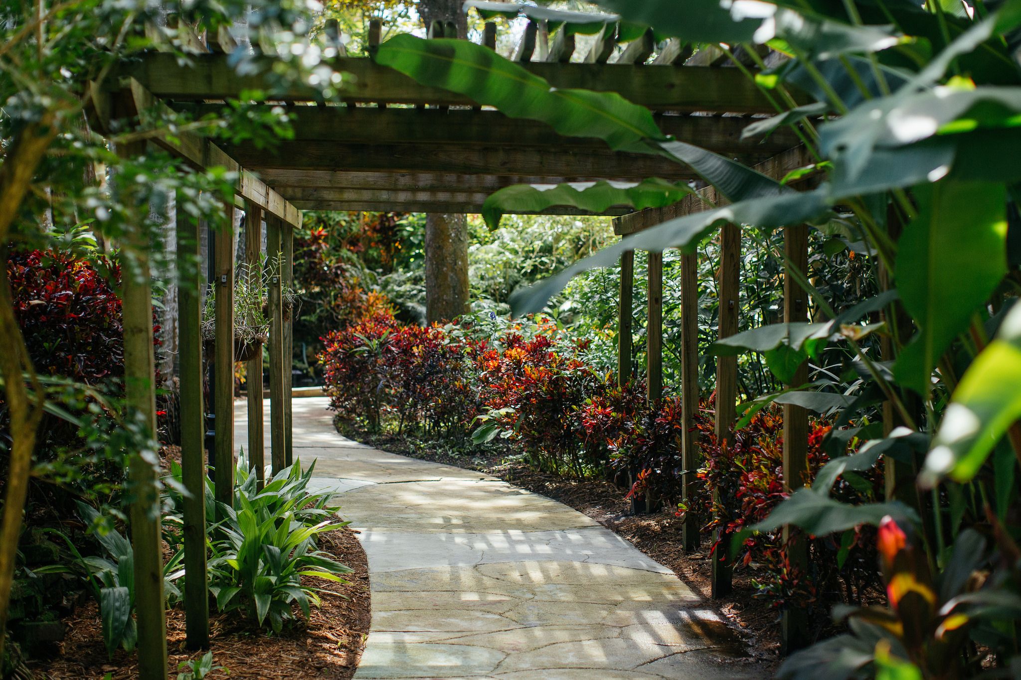 阿斯旺植物園和費盧卡遊船之旅
