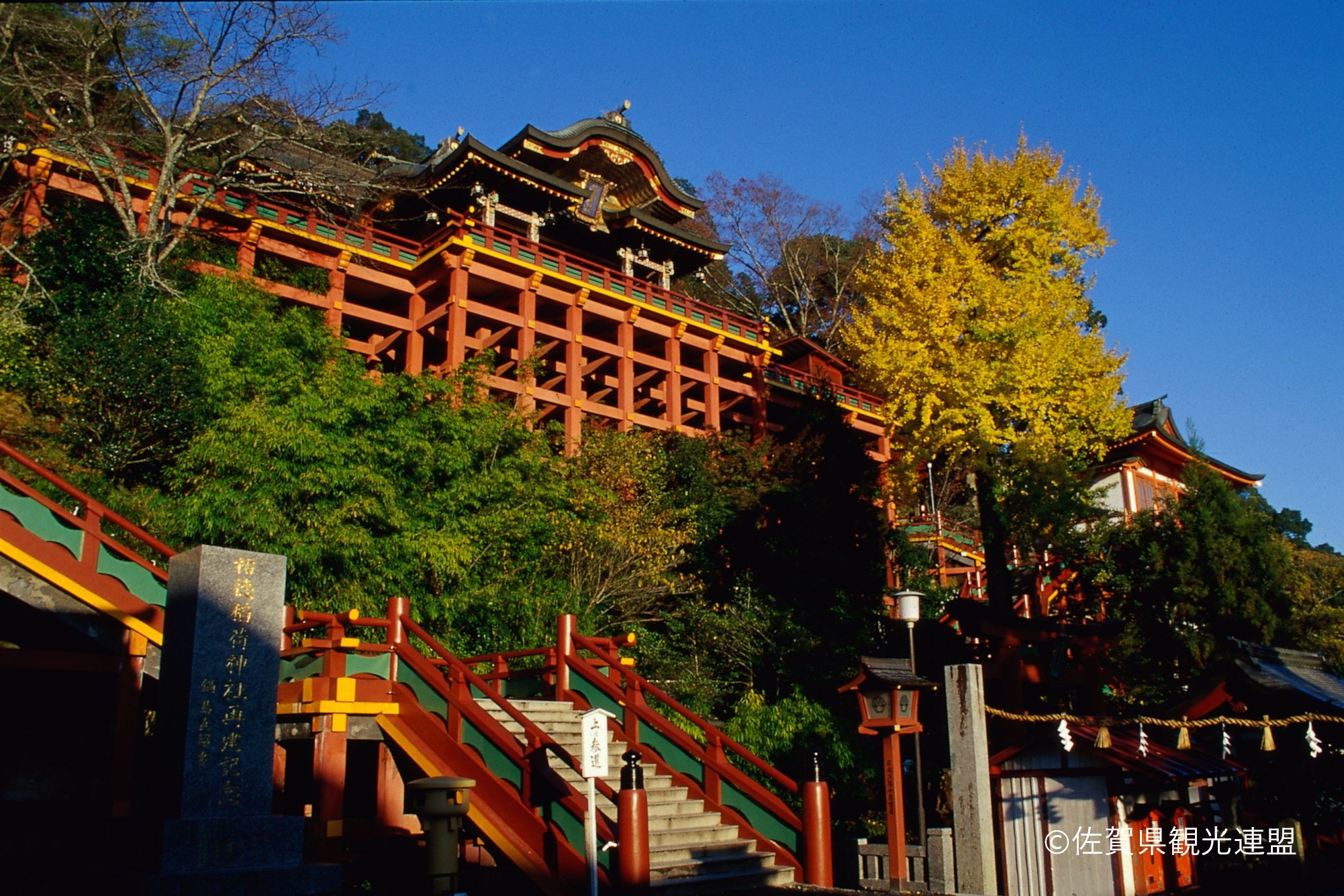 Yutoku Inari Shrine, Nagasaki Atomic Bomb Museum, & Mt. Inasa Tour