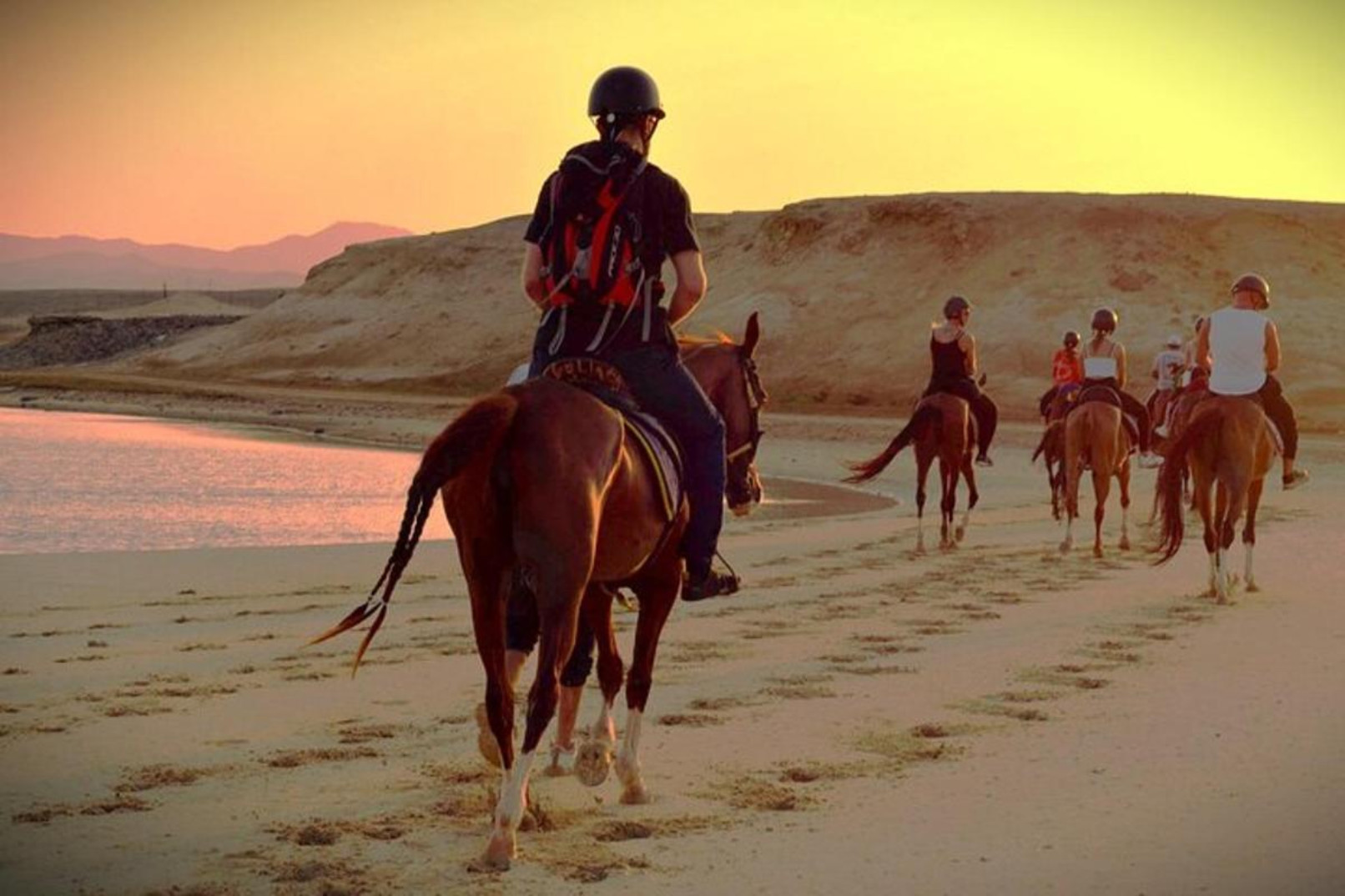 Horse Riding Adventure in Hurghada