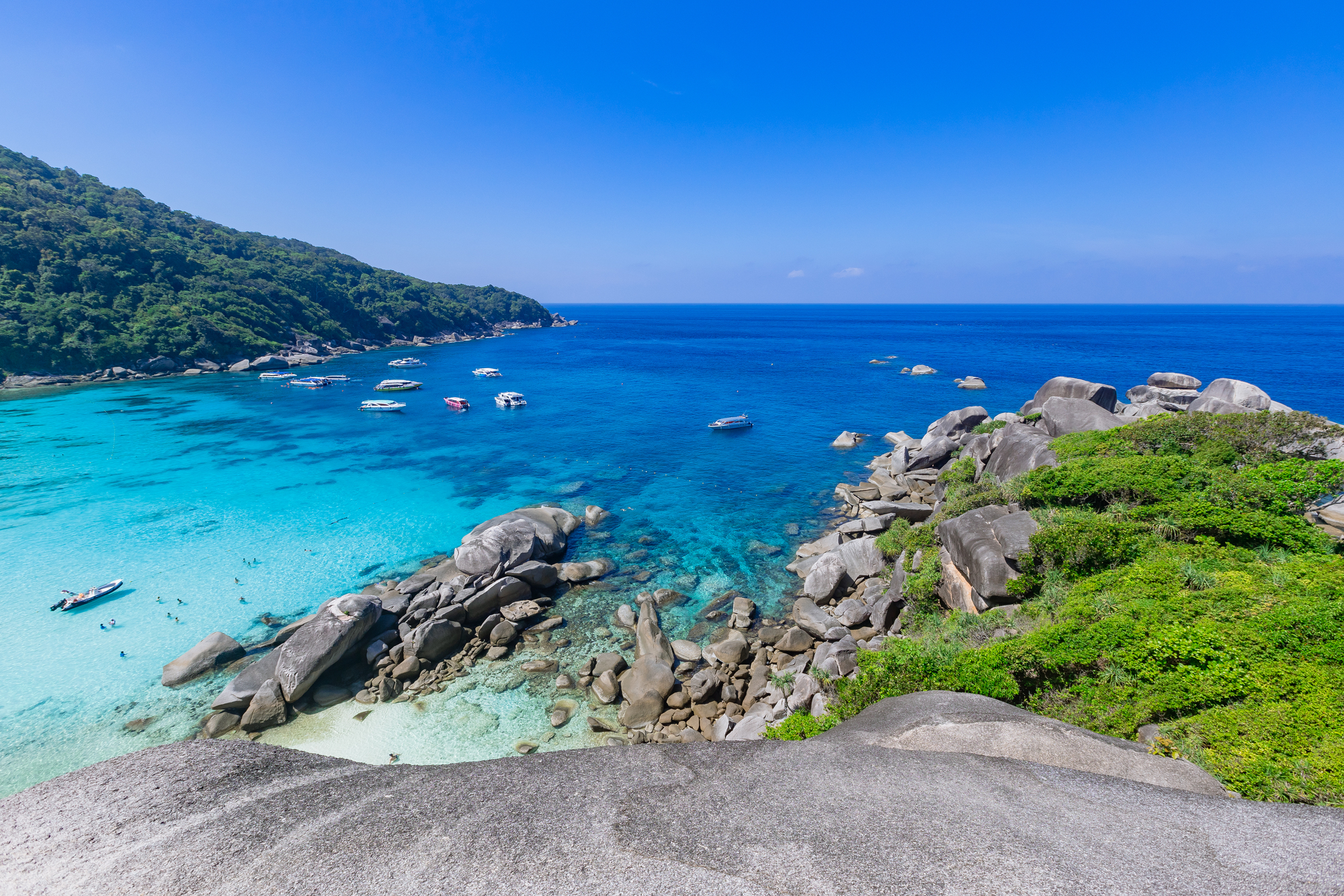 參加全日浮潛探險之旅，沿途觀賞可愛的海洋生物和色彩繽紛的珊瑚礁