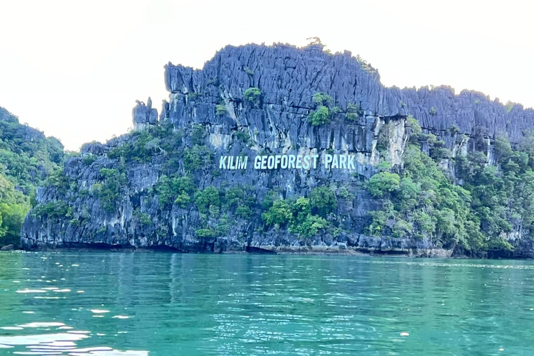 Night Safari Mangrove Tour with Transfers in Langkawi