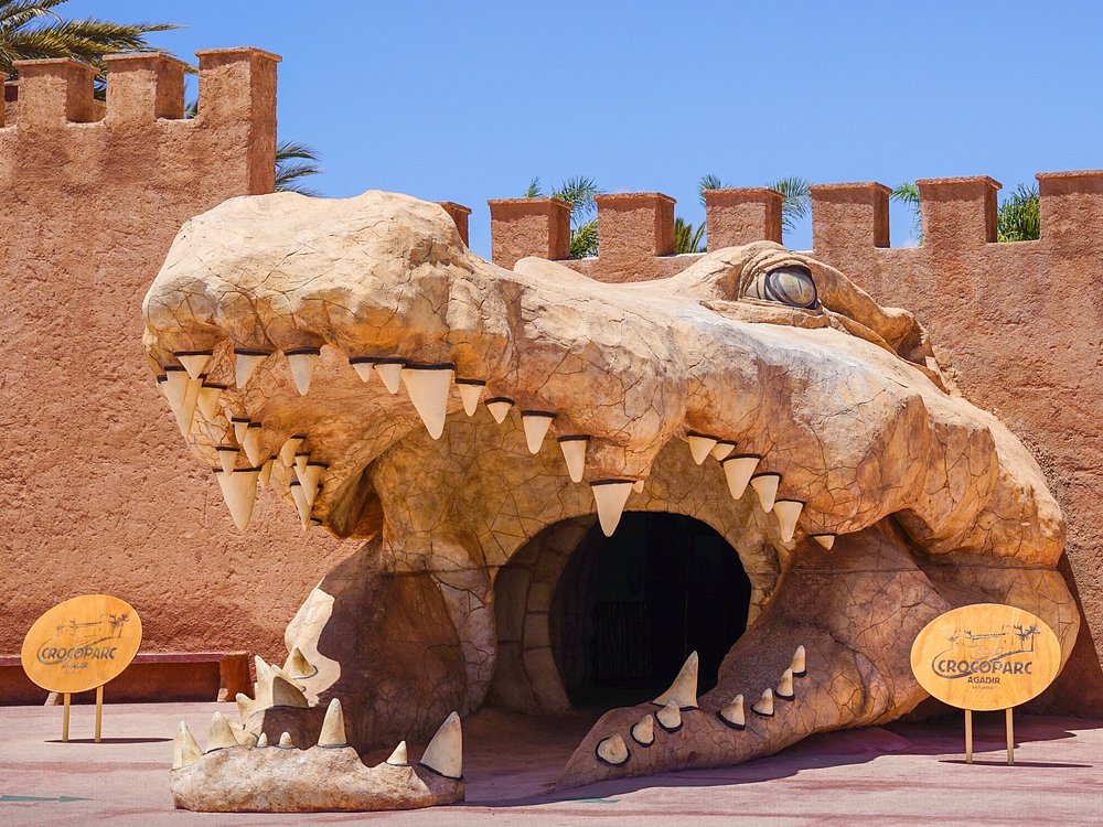 Agadir Crocopark Half-Day Small Group Tour