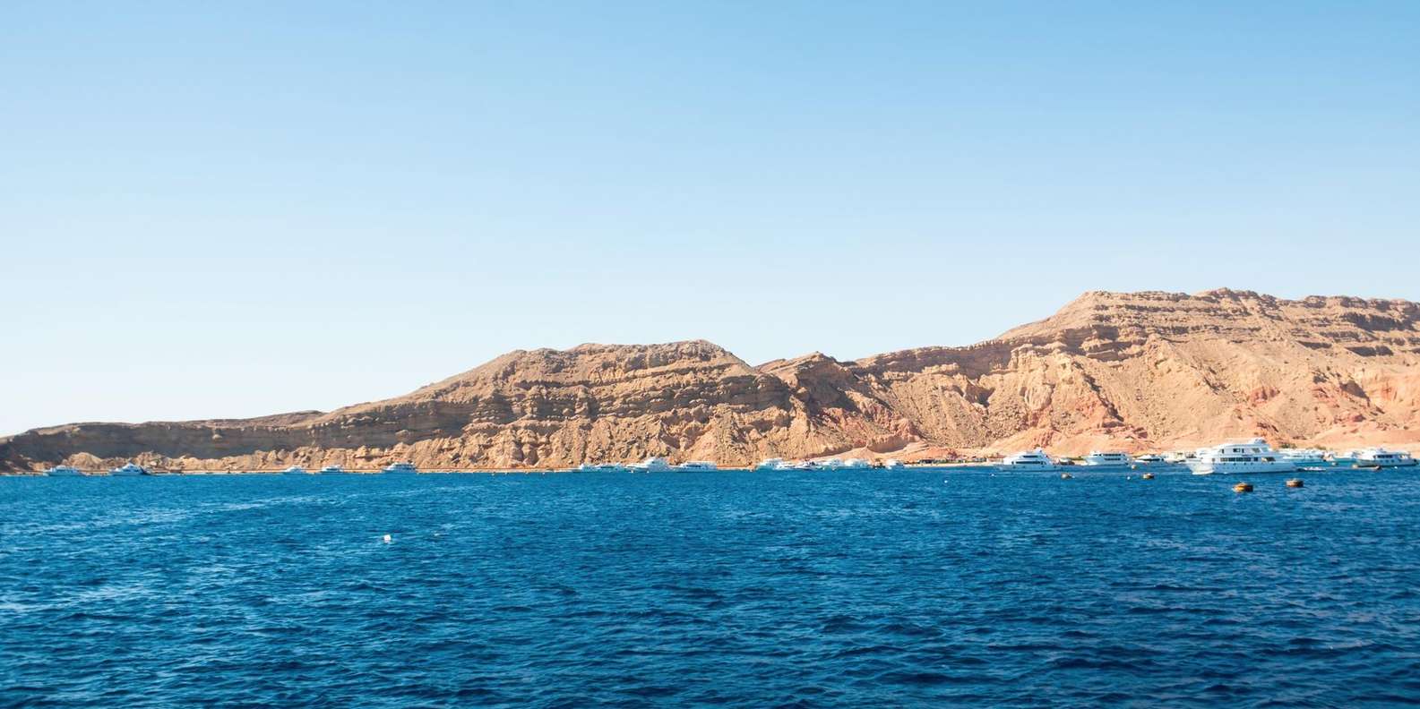 懷特島 & 拉斯·穆罕默德之旅（沙姆沙伊赫出發）