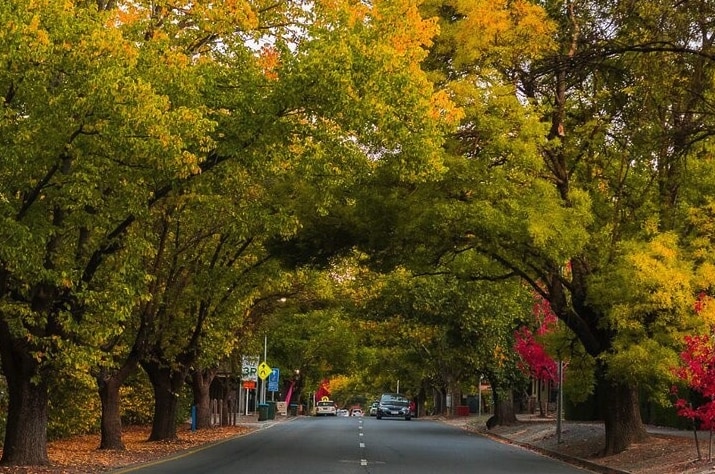 阿得雷德市＆樂富泰山＆德國村半日遊