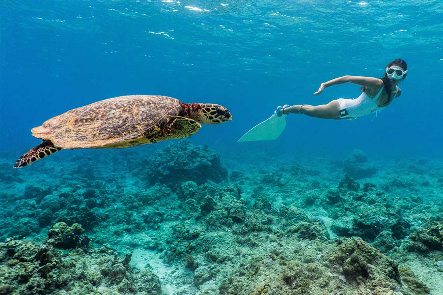 Experience Boracay Freediving