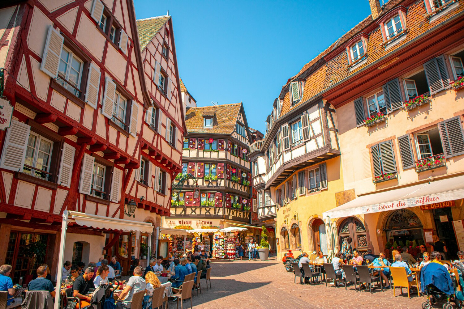 Strasbourg, Colmar, Eguisheim, Riquewihr: Private Tour