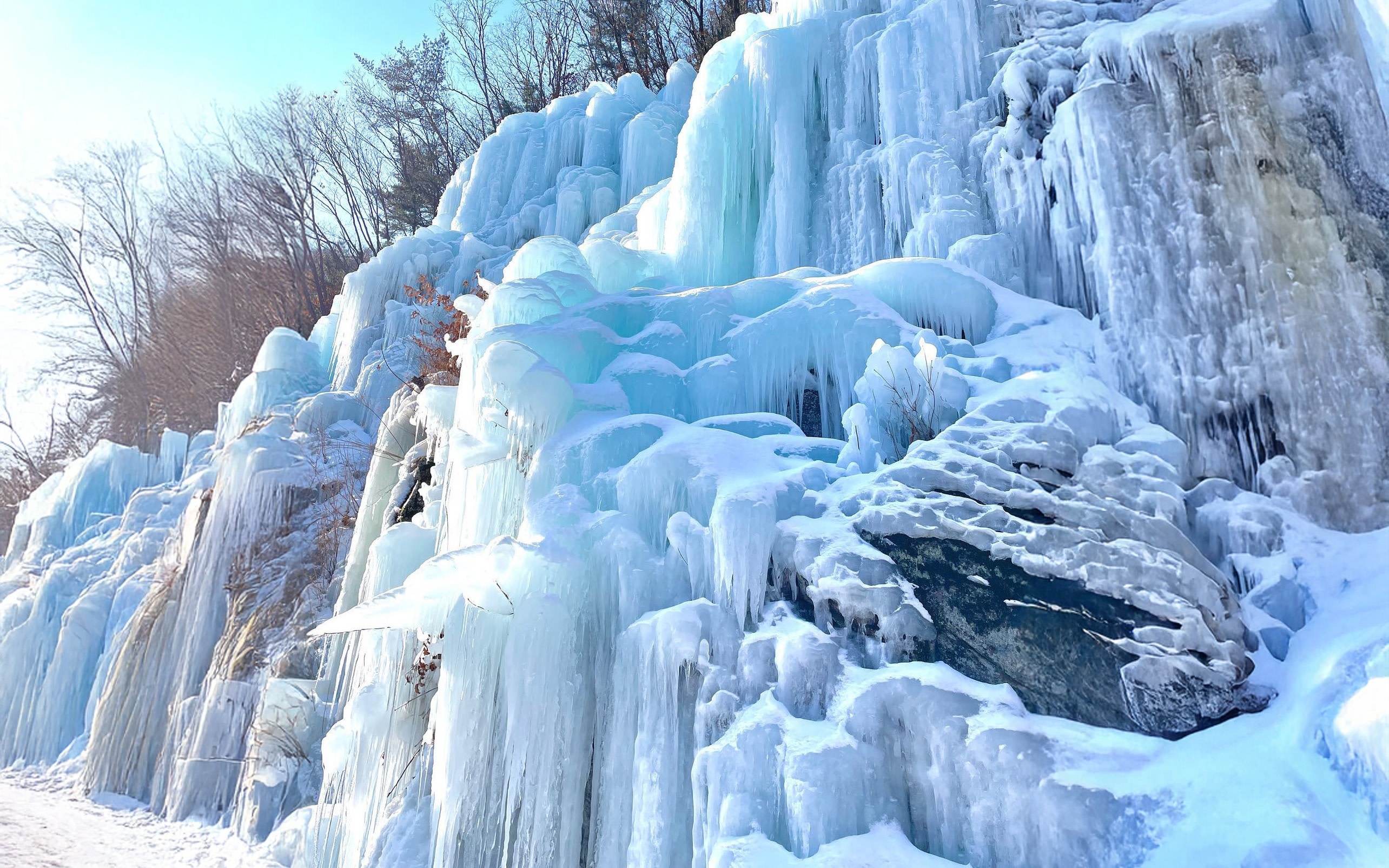 Seoul Winter Highlights: Vivaldi Ski & Frozen Eobi Ice Valley Tour