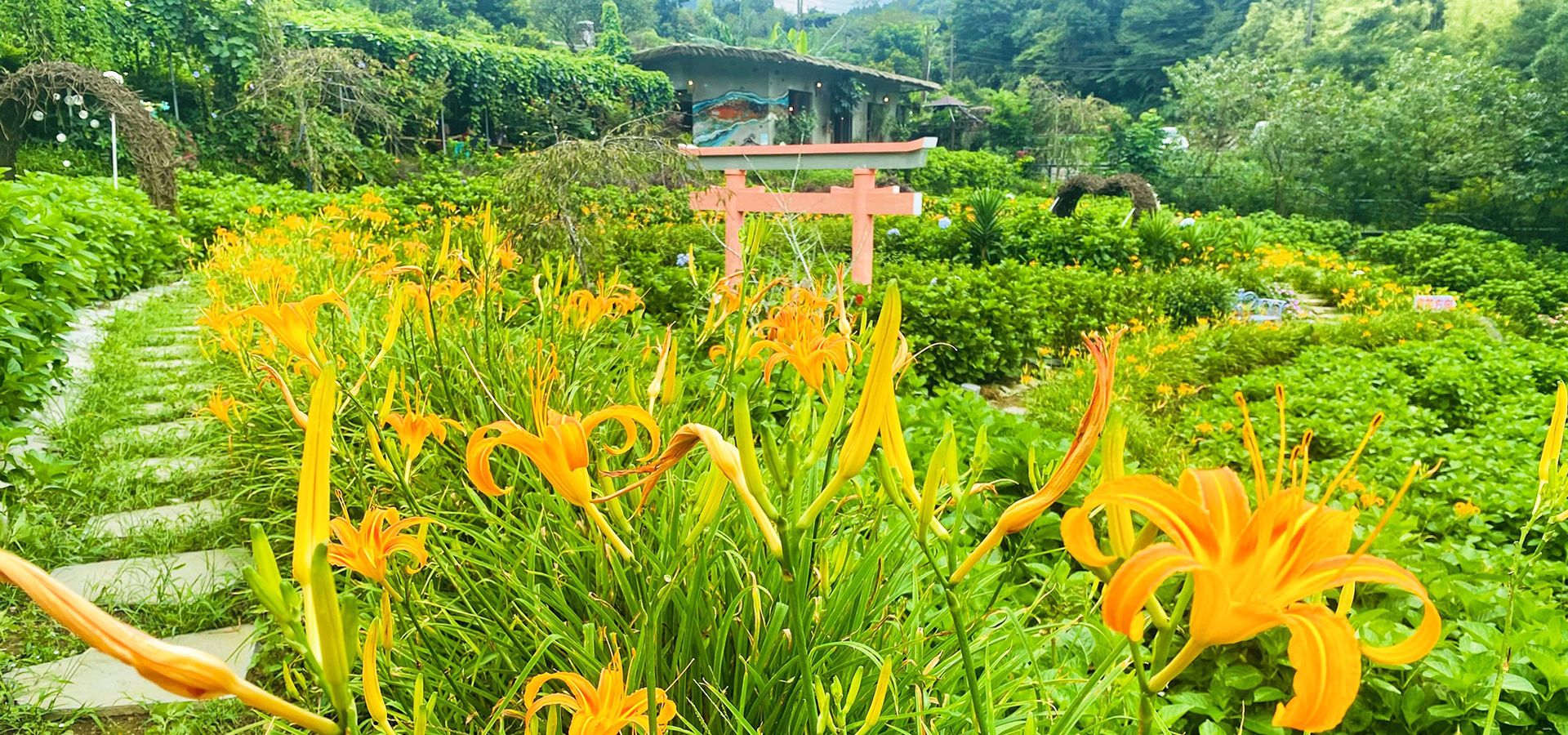 曹家花田香門票