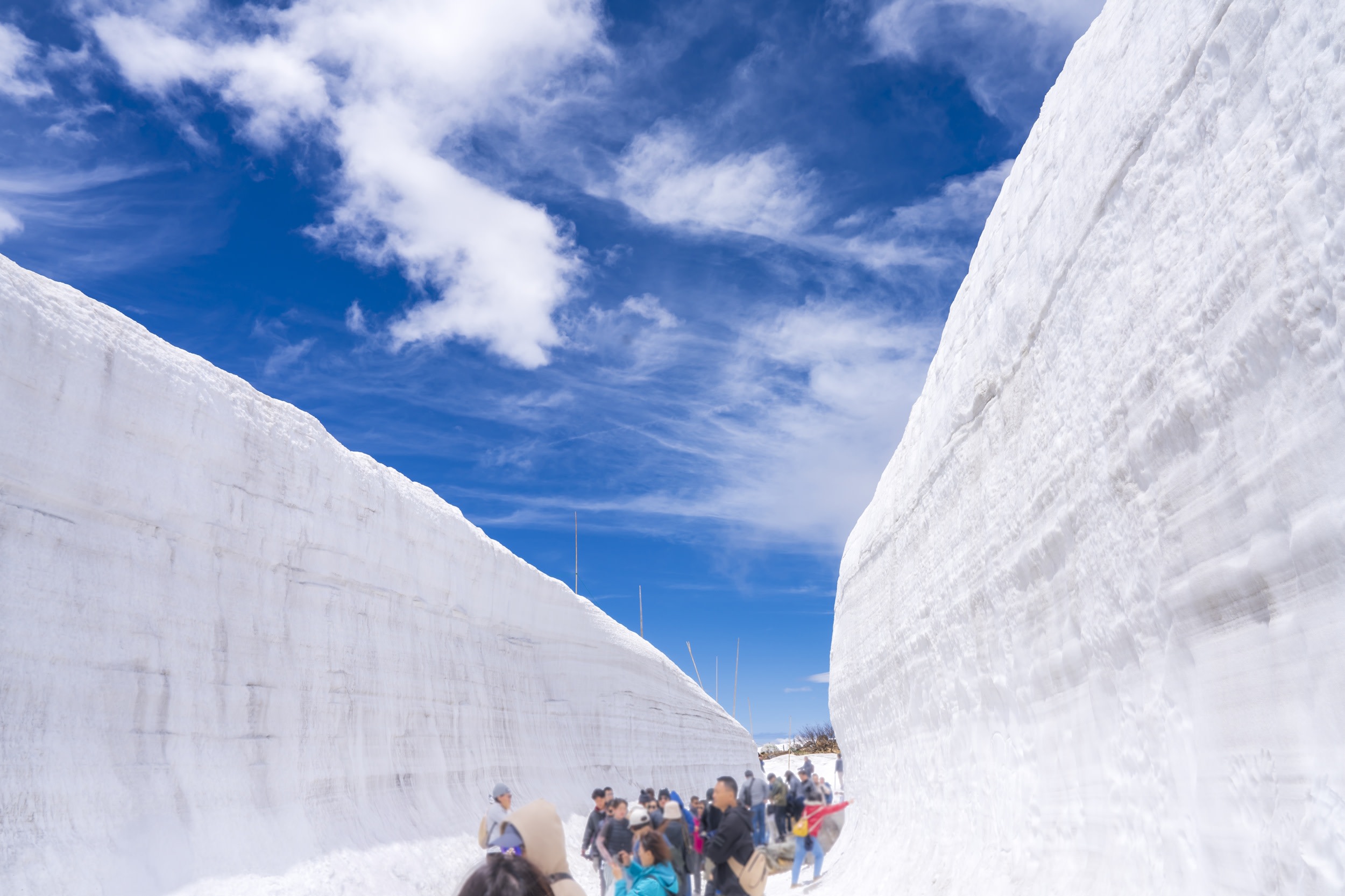 From Tokyo: Tateyama Kurobe Alpine Route "Snow Wall" & Shirakawa-go 