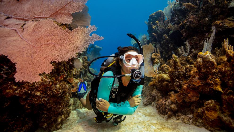象島PADI潛水中心潛水體驗（含證書）