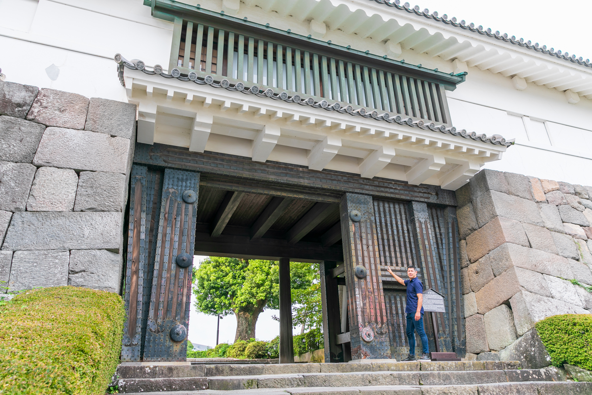 小田原城忍者館 & & 武士博物館導覽遊