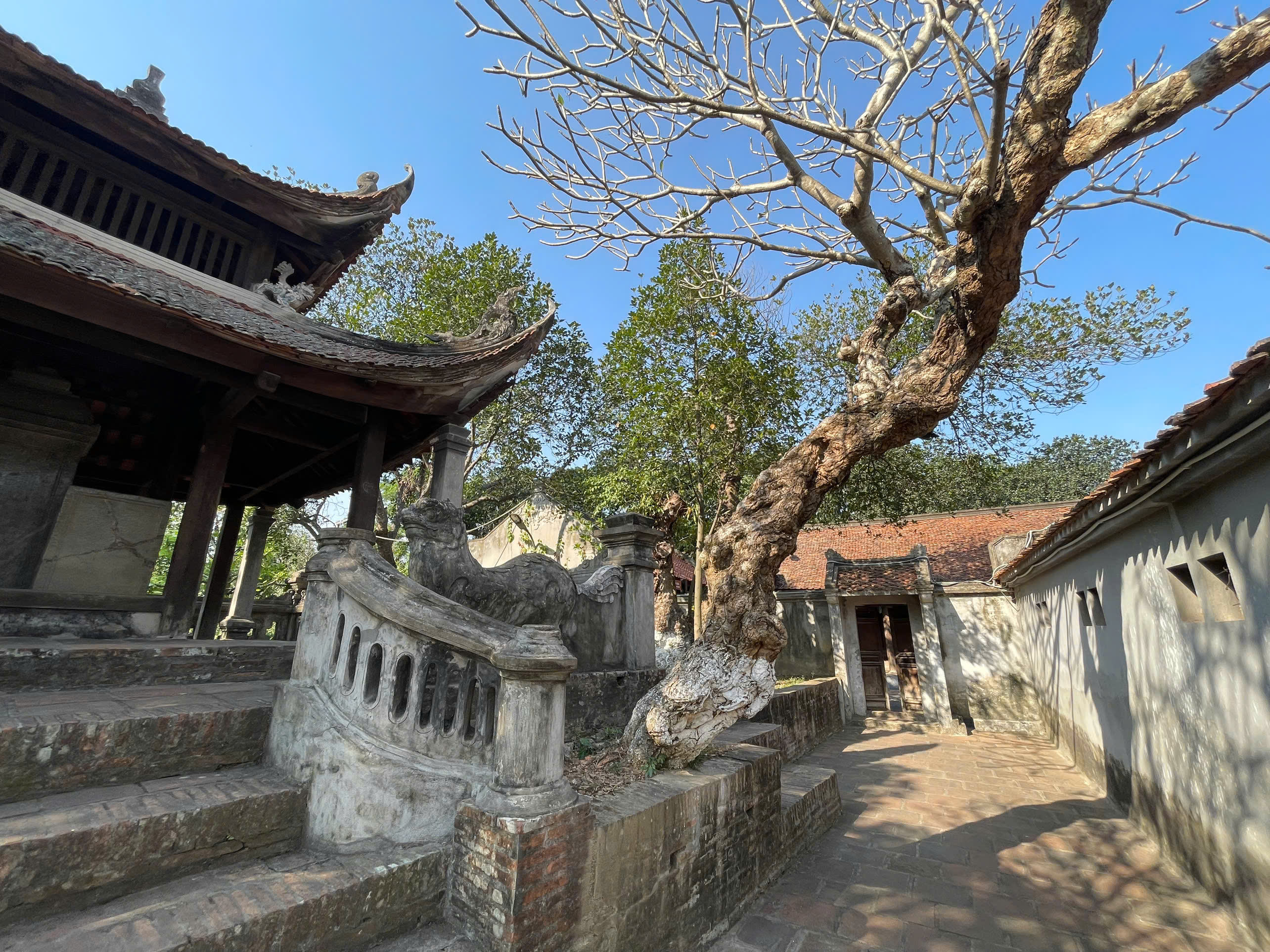 探索河內：體驗地道的半日吉普車之旅
