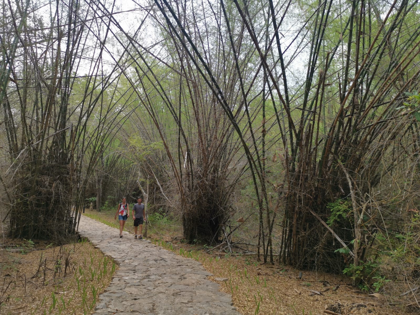 納閩巴焦BATU CERMIN 洞穴 &  西爾維亞山半日遊