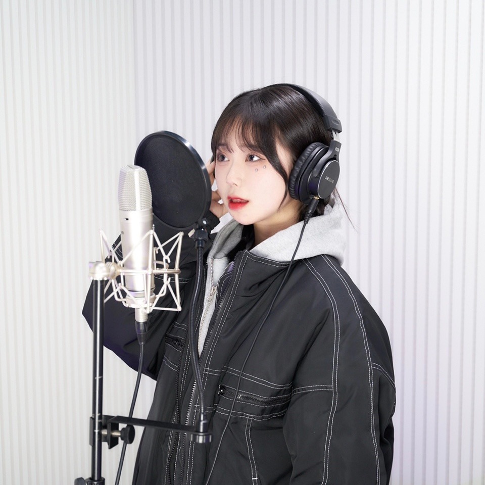 Vocal recording experience