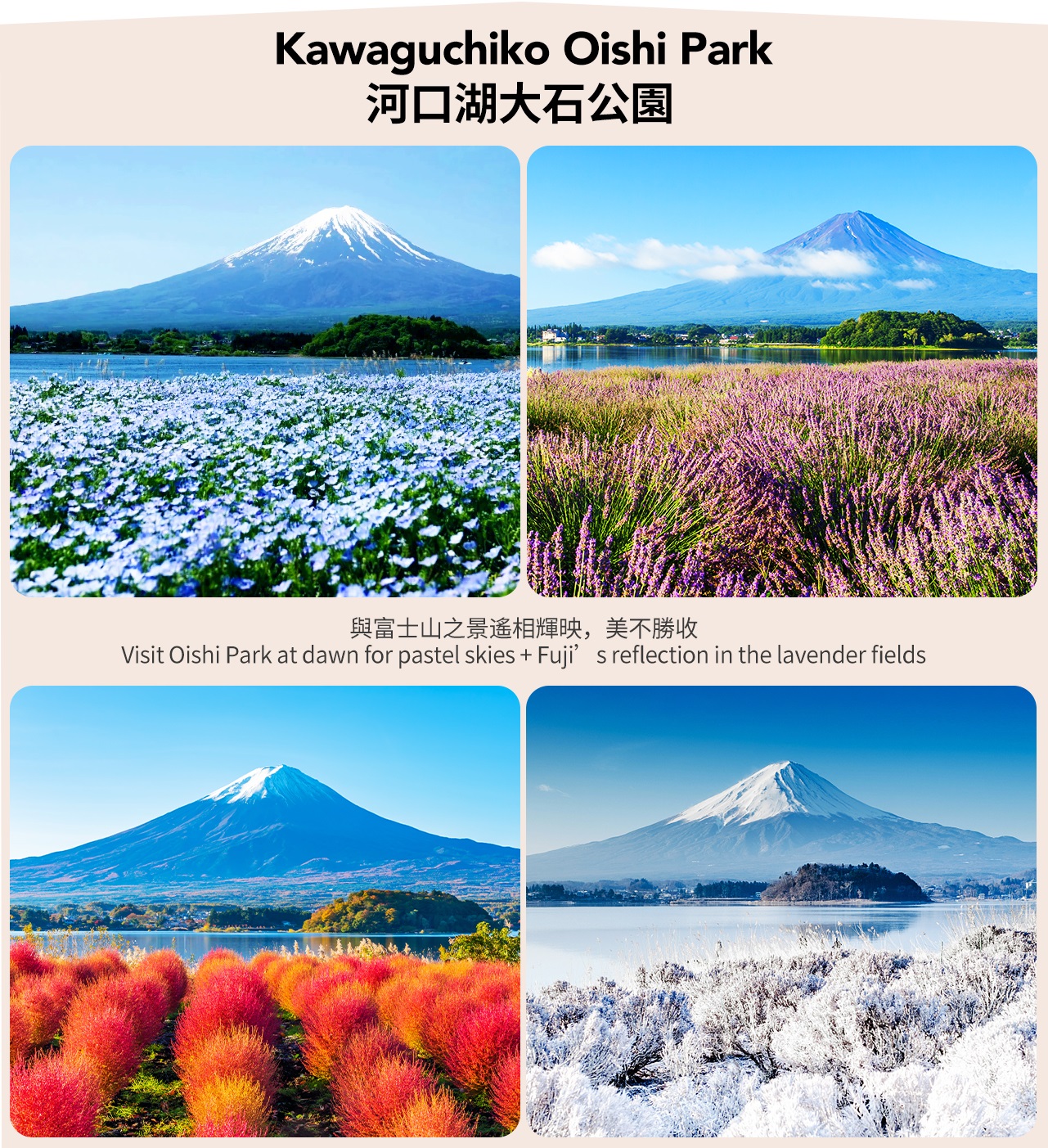 【富士山網紅五大美景攝影之旅】新倉山淺間公園or天梯小鎮&忍野八海&河口湖&羅森&麥當勞網紅打卡一日遊（東京出發）