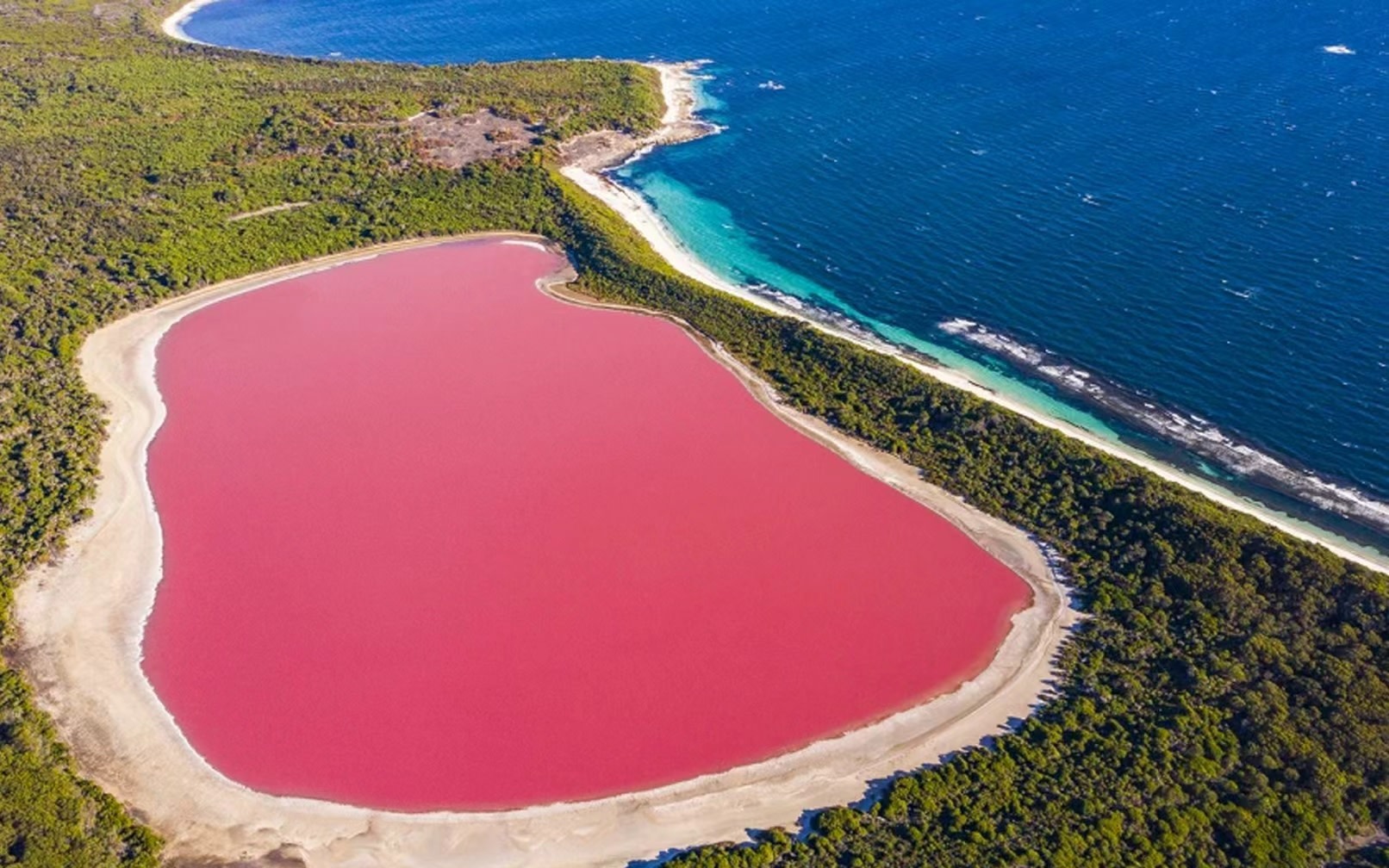 Perth Pink Lake Western Australia Scenic Multi-Day Tour (Chinese Guided Tour/Pinnacles & Geraldton & Jurien Bay & White Sand Dunes)