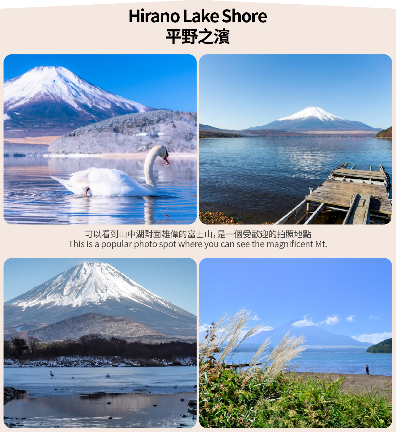 【富士山單車騎行抹茶體驗泡溫泉深度二日遊】河口湖&抹茶體驗&纜車&溫泉&山中湖騎行&忍野八海&新倉山淺間公園深度二日遊