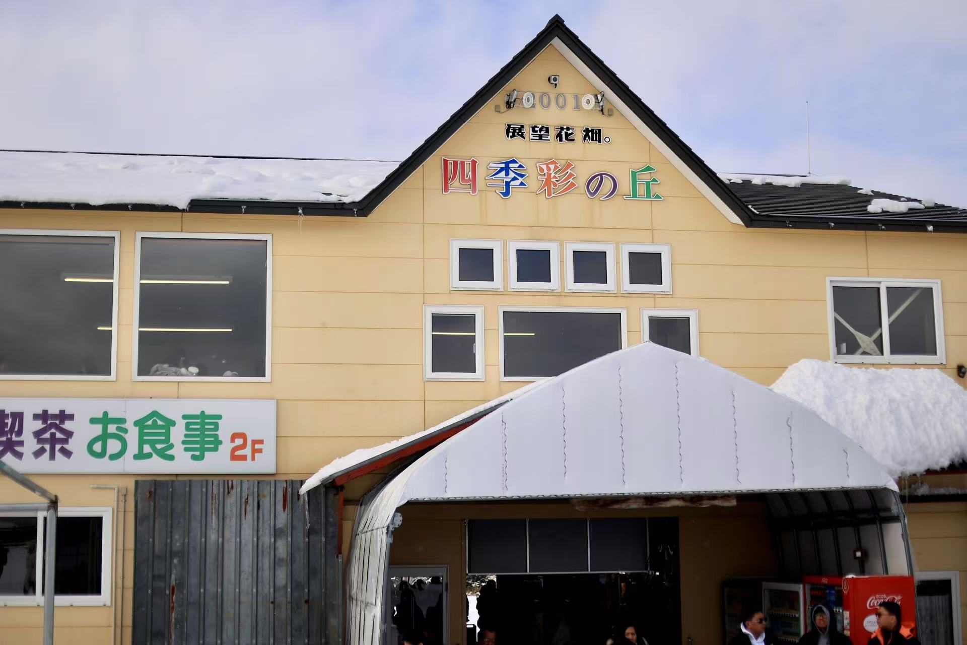 北海道經典一日遊（中英服務）｜旭山動物園&網紅樹&四季彩之丘（可選雪地摩托自費體驗）