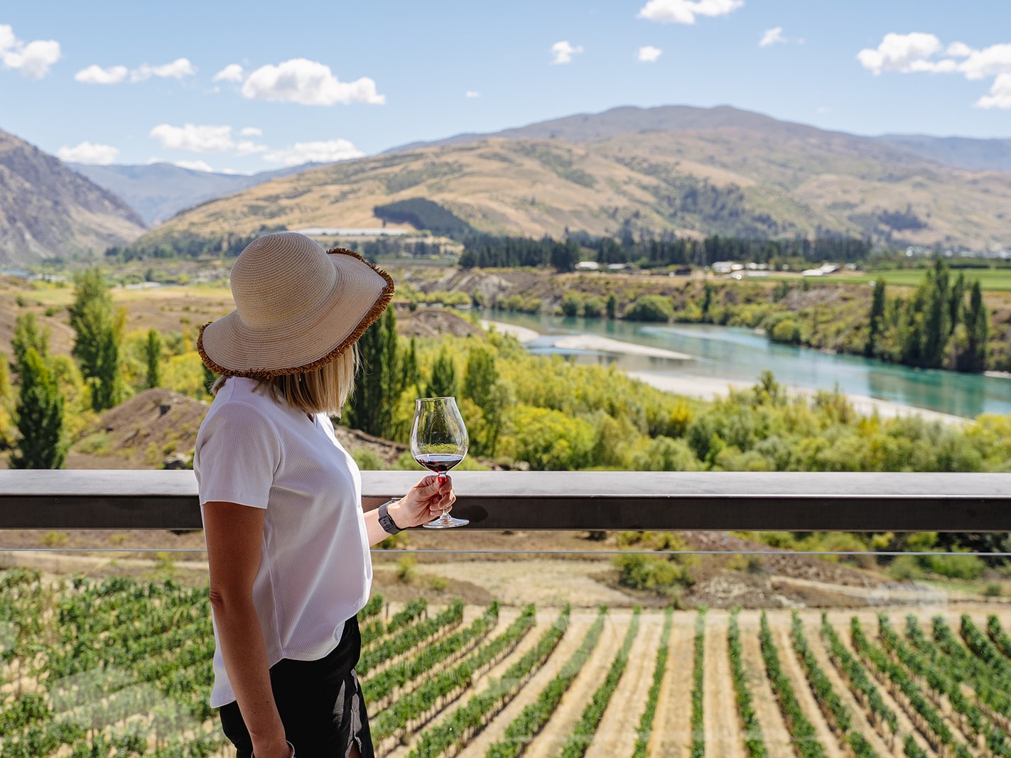 Enjoy the fantastic scenery of the excellent wine view with the unique panoramic scene