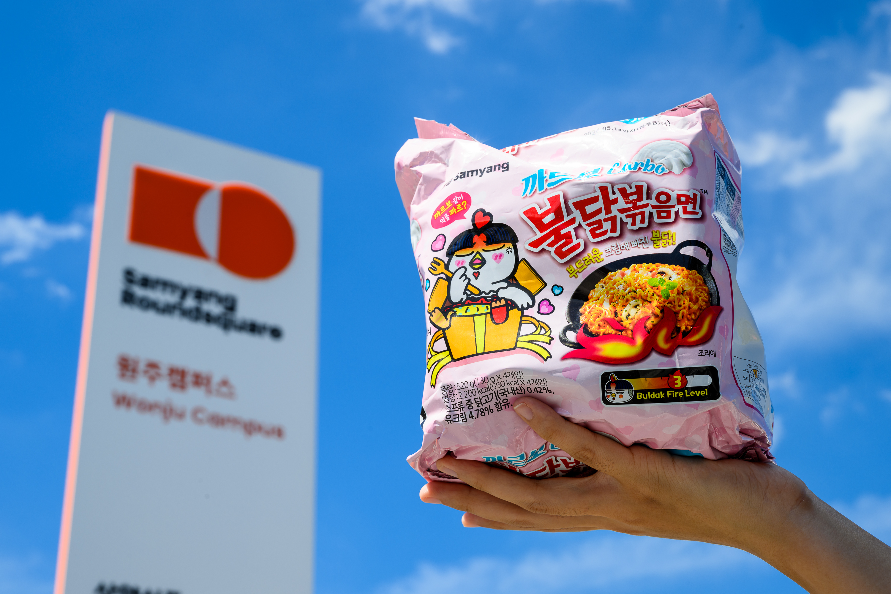 Wonju, the heart of Samyang Buldak and Jungkwanjang Ginseng Day Tour