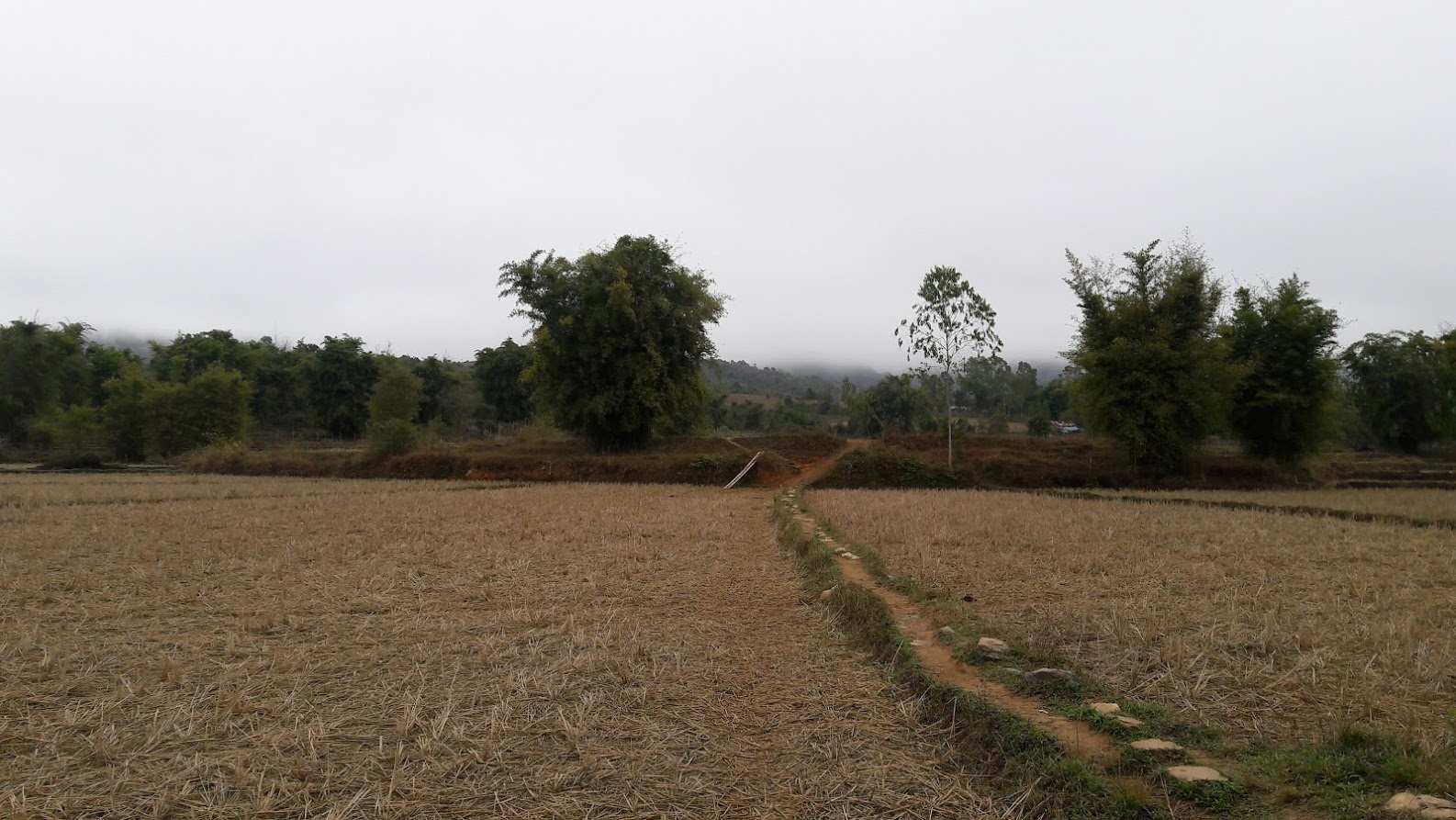 Plain of jars tour with local guide