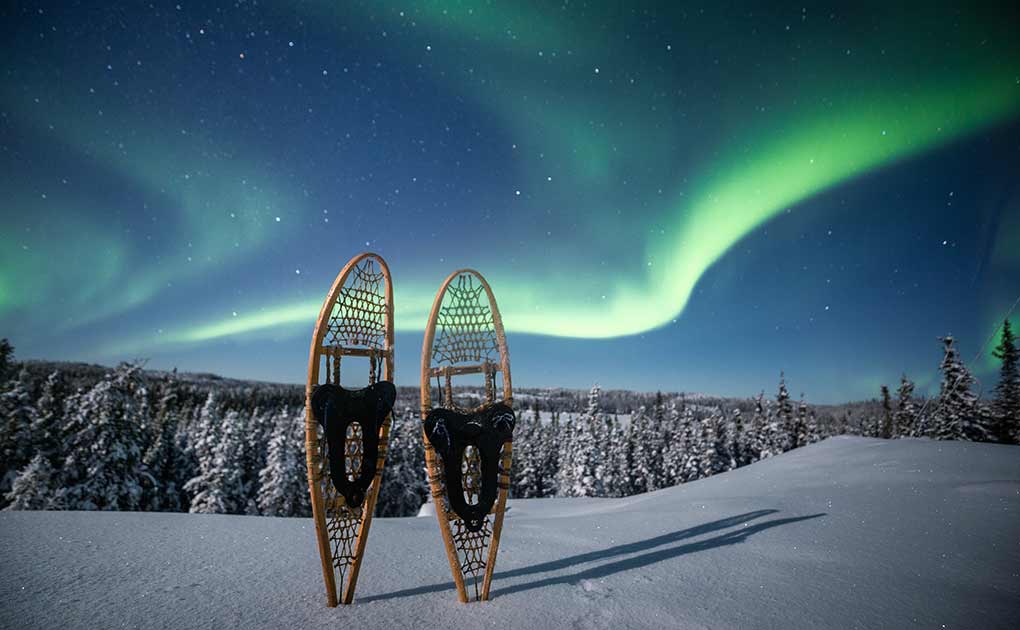 Rovaniemi Night Snowshoeing Experience