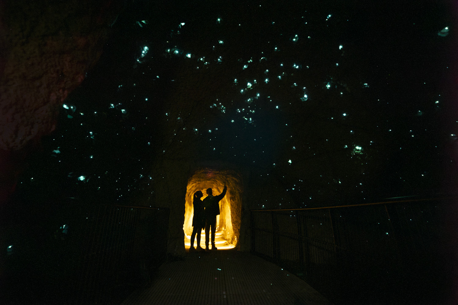 親眼目睹數千隻螢火蟲的奇幻光芒 親眼目睹數千隻螢火蟲的奇幻光芒